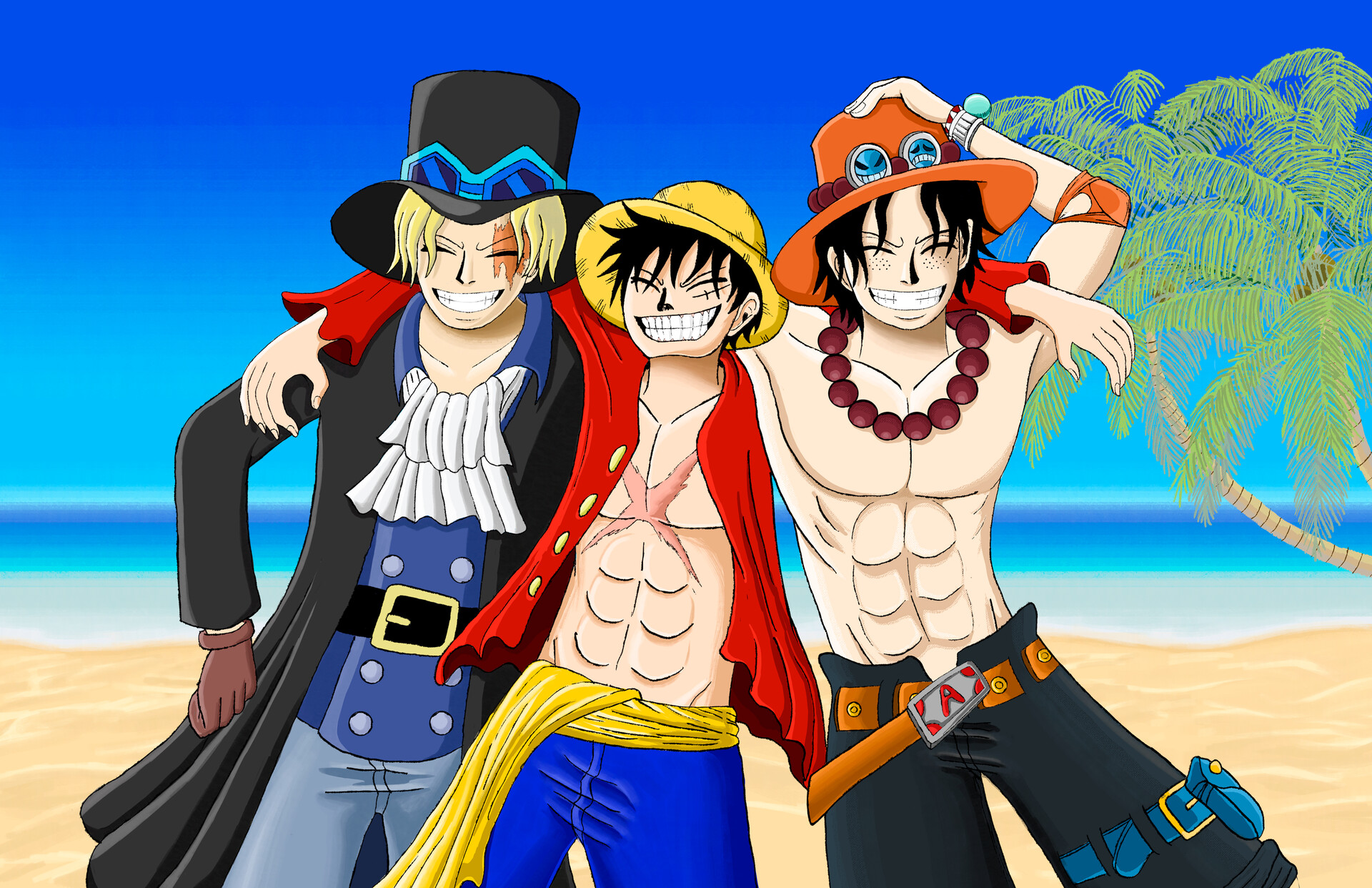 How Are Luffy And Ace Brothers Online | head.hesge.ch