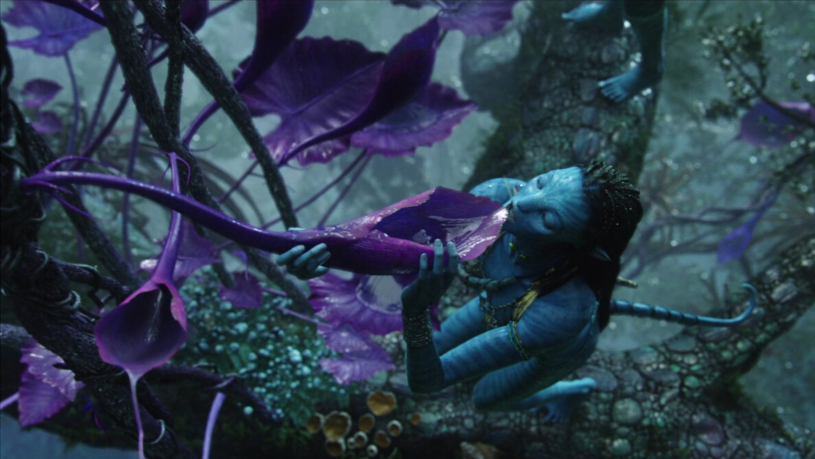 Sometimes you get to do almost full shots, i did all models and sculpts except Neytiri. Even got to concept the purple plants.