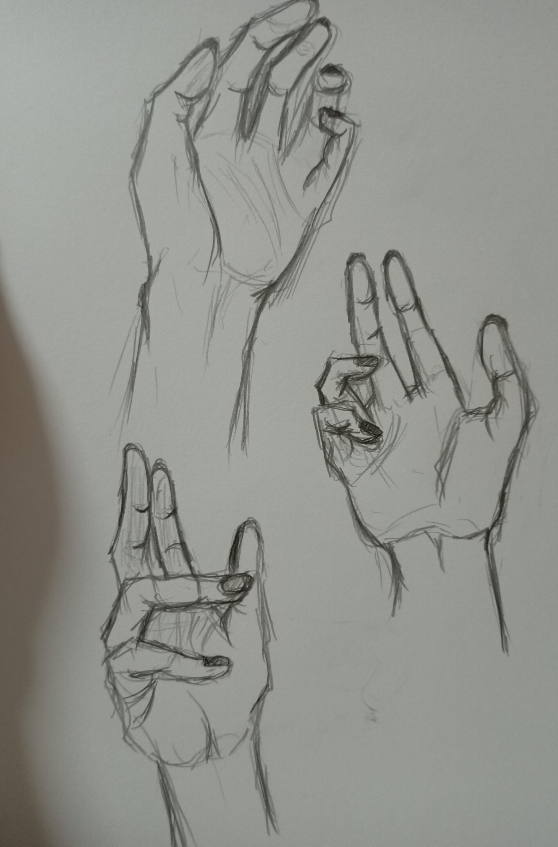 ArtStation - Hand Practices (Observational Drawings)
