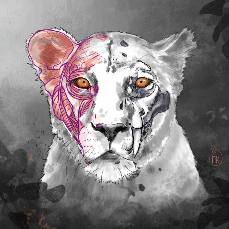 Felines - 06
