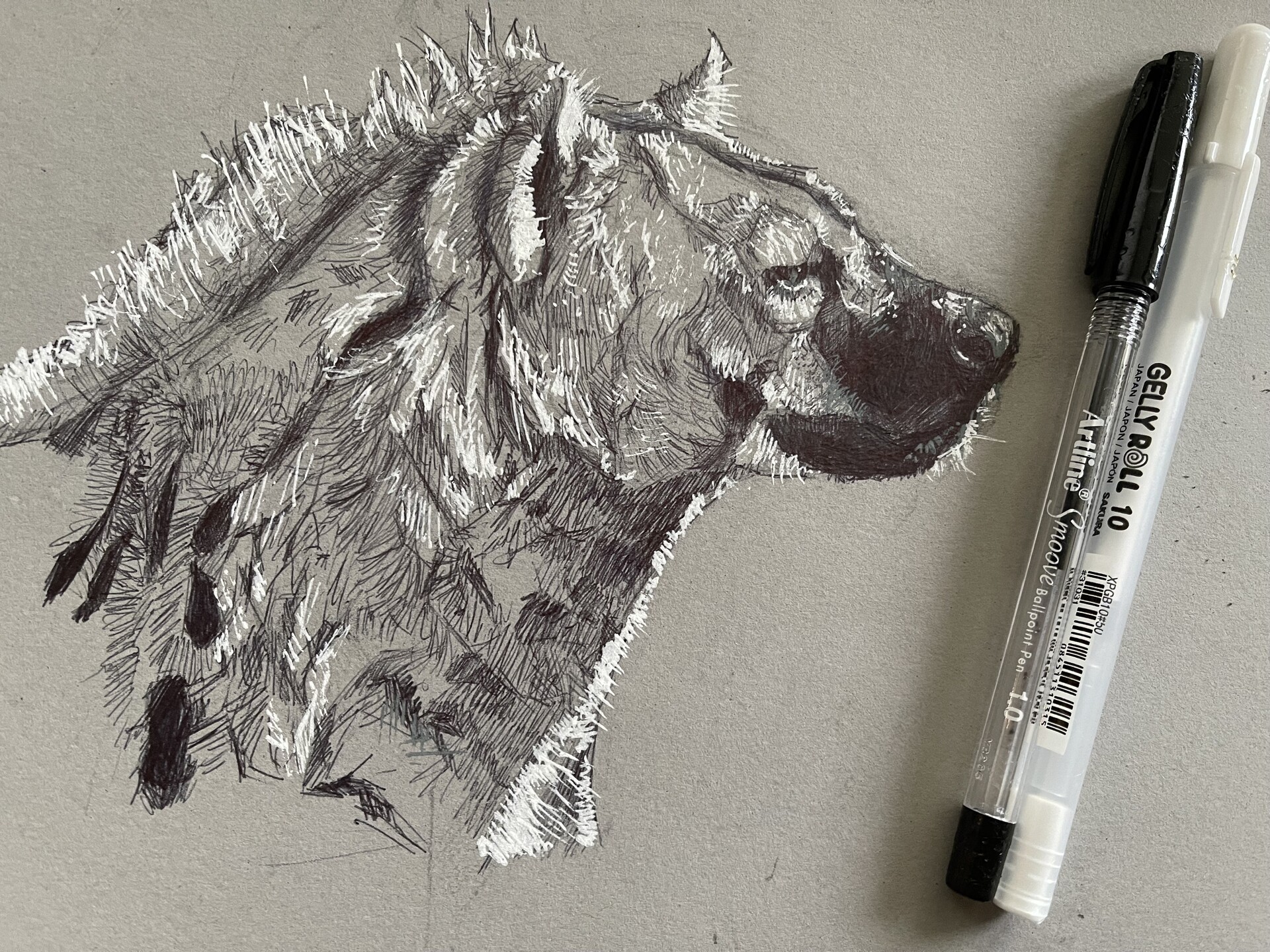 ArtStation - Hyena Ballpoint Pen Art