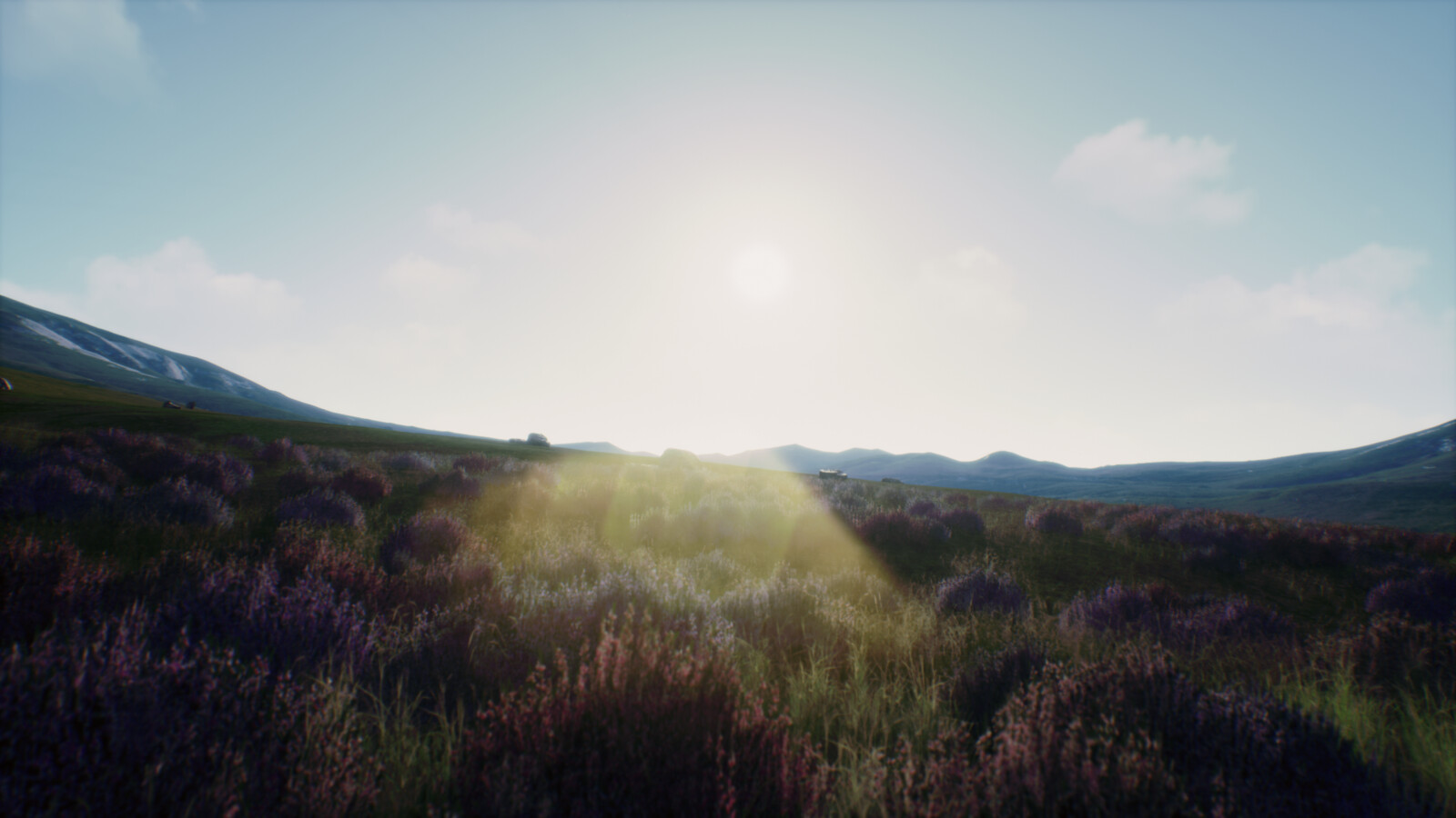 Render level within the scene