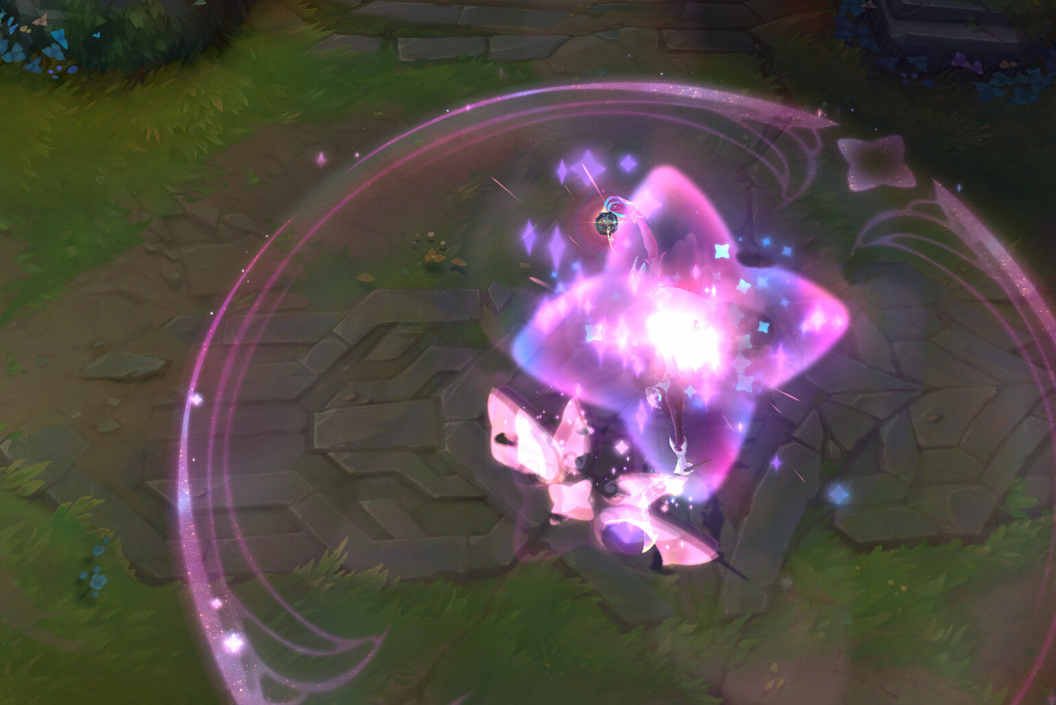 W + P Procs