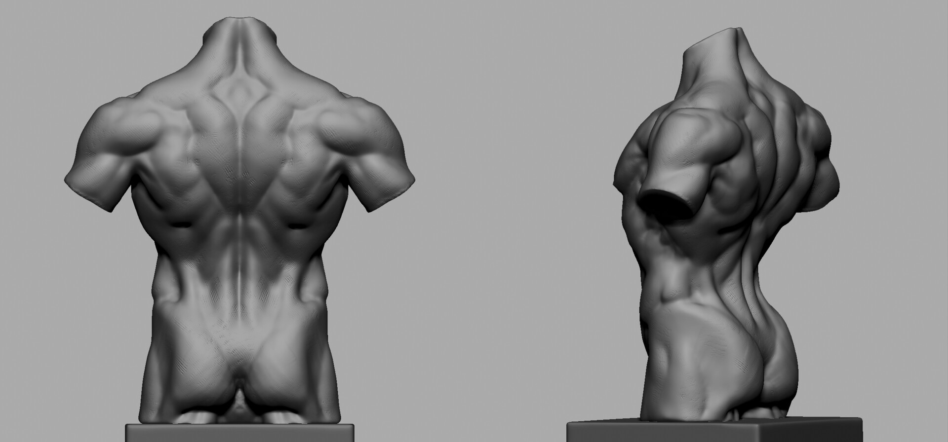 The Posterior Lower Torso (Sculpting a Figure) (Digital Sculpting with  Mudbox)