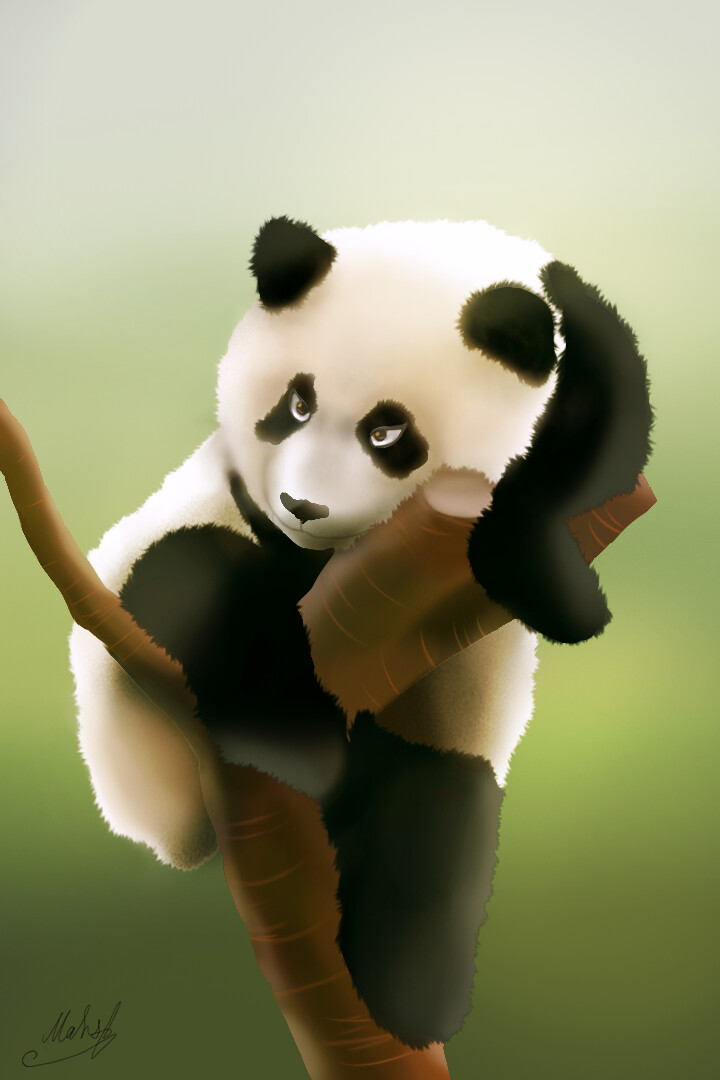 ArtStation - Cute Cartoon Panda By Asuna Asadi