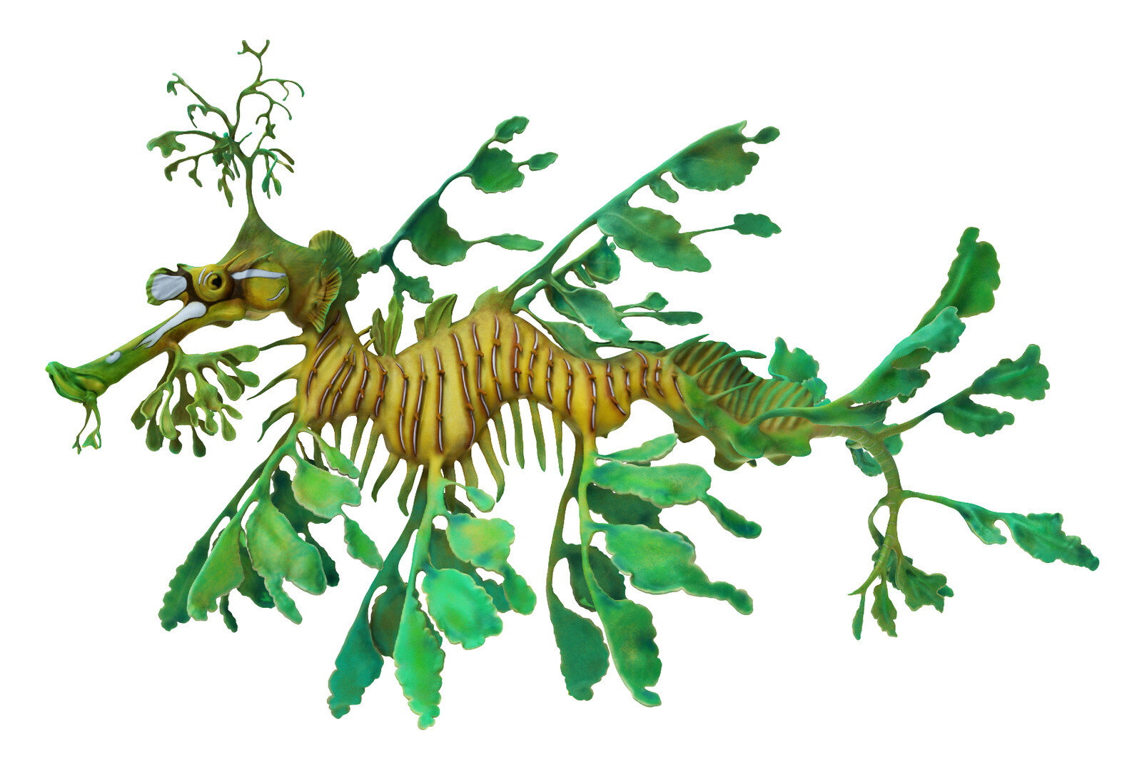 Leafy Sea Dragon model rendered in Keyshot