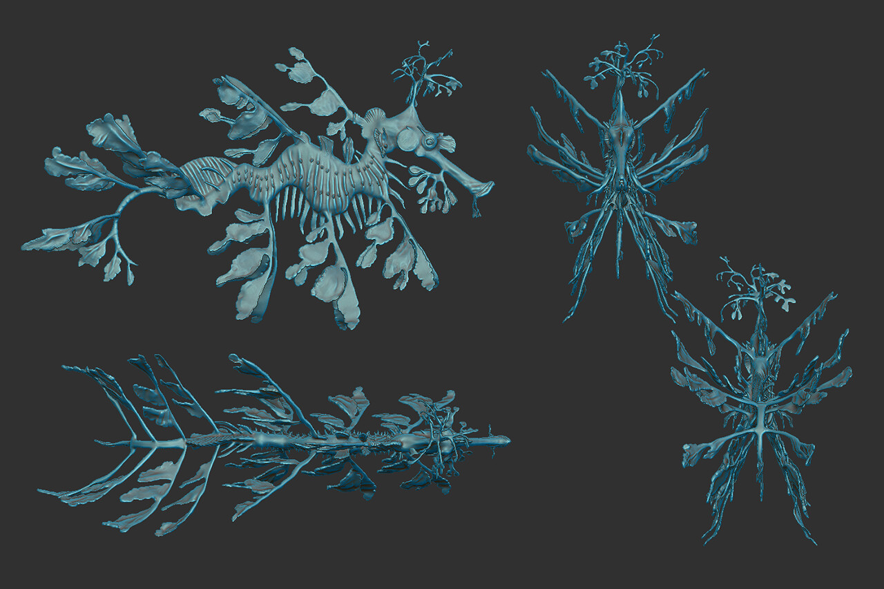 Leafy Sea Dragon model rendered in ZBrush