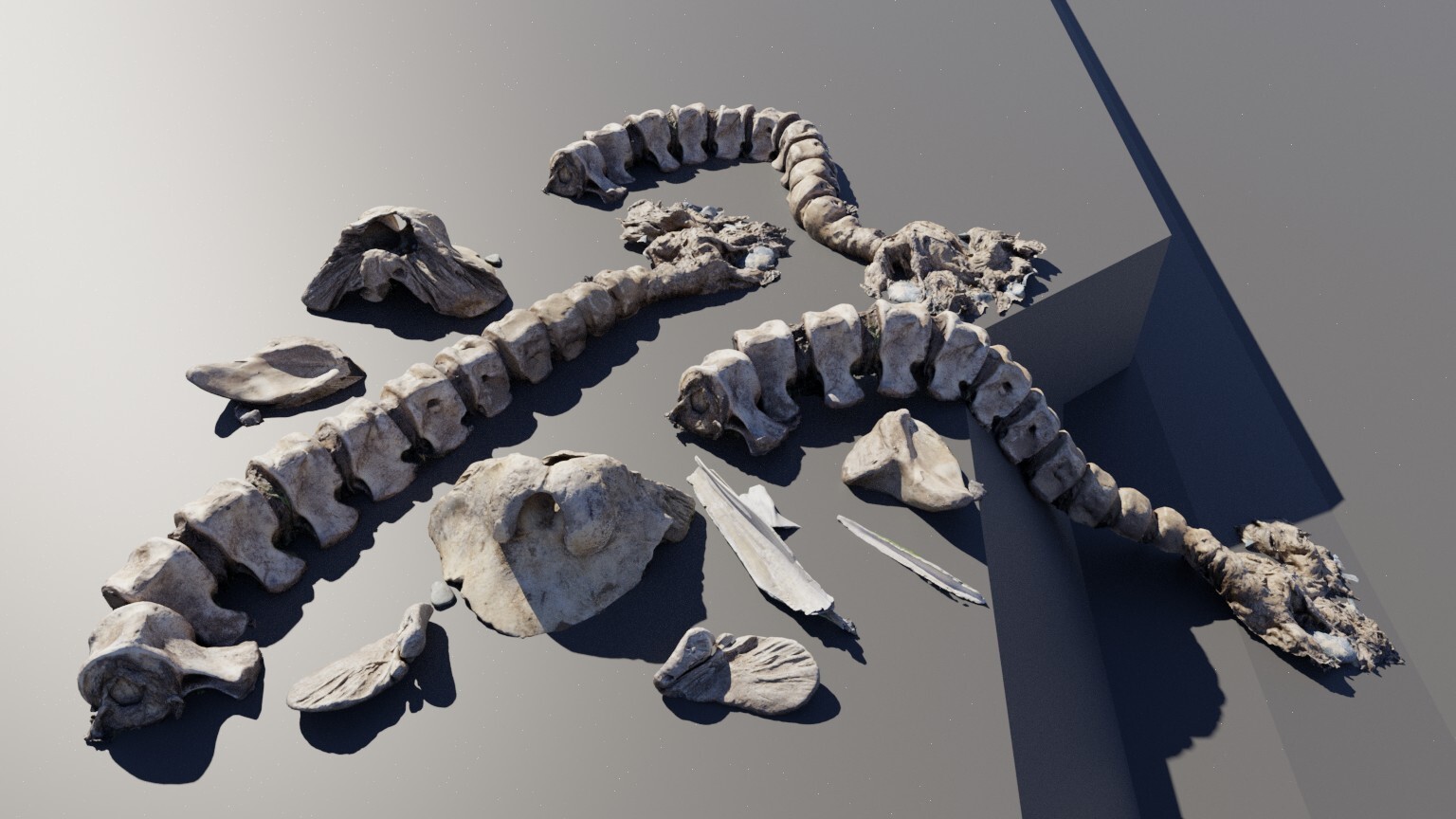 The scan set that I made, pretty much decimated raw data.