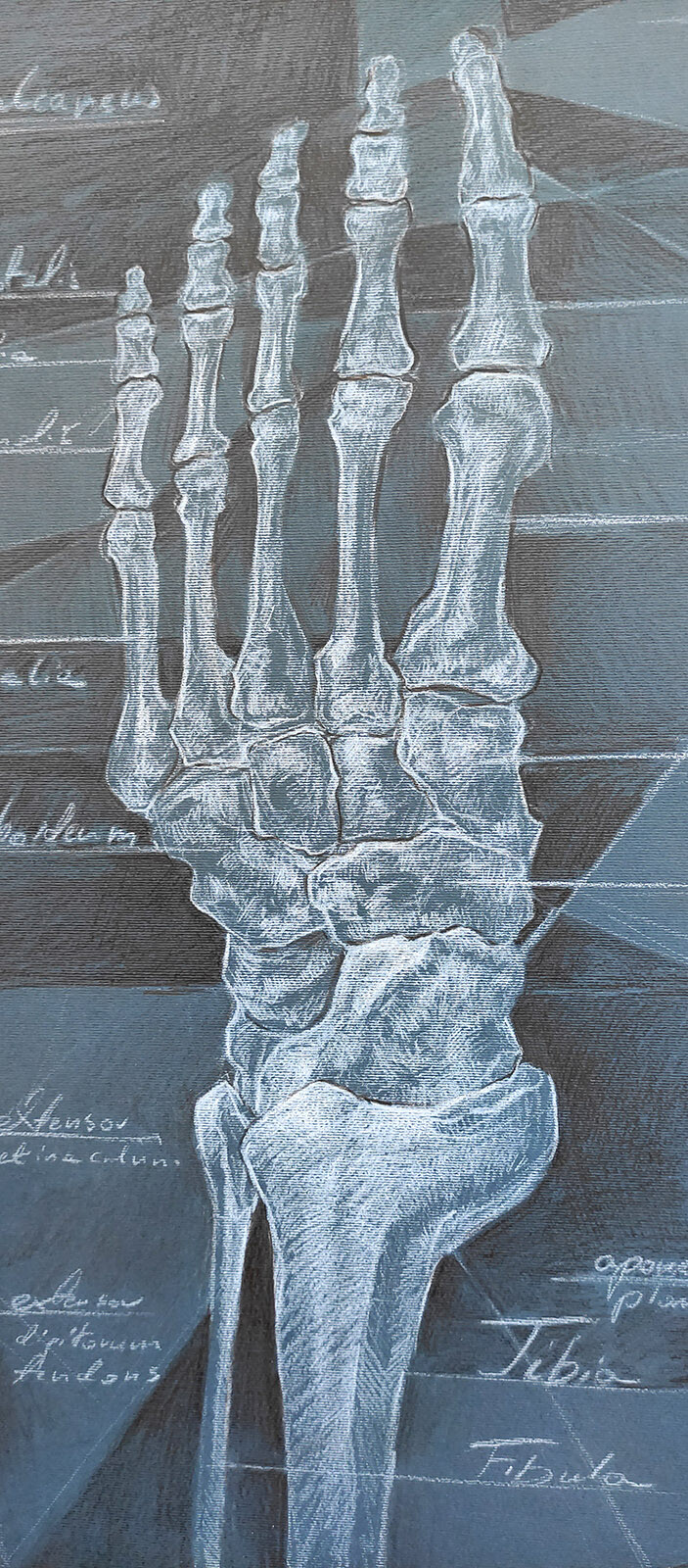 Foot - detail