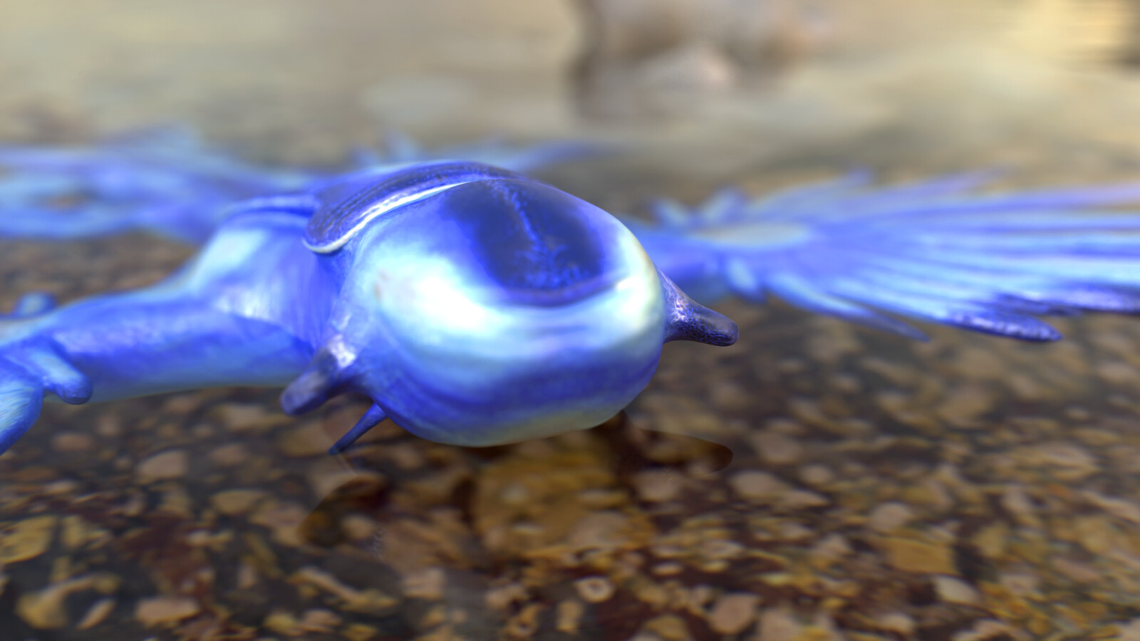 Nudibranch model rendered in Redshift for Maya