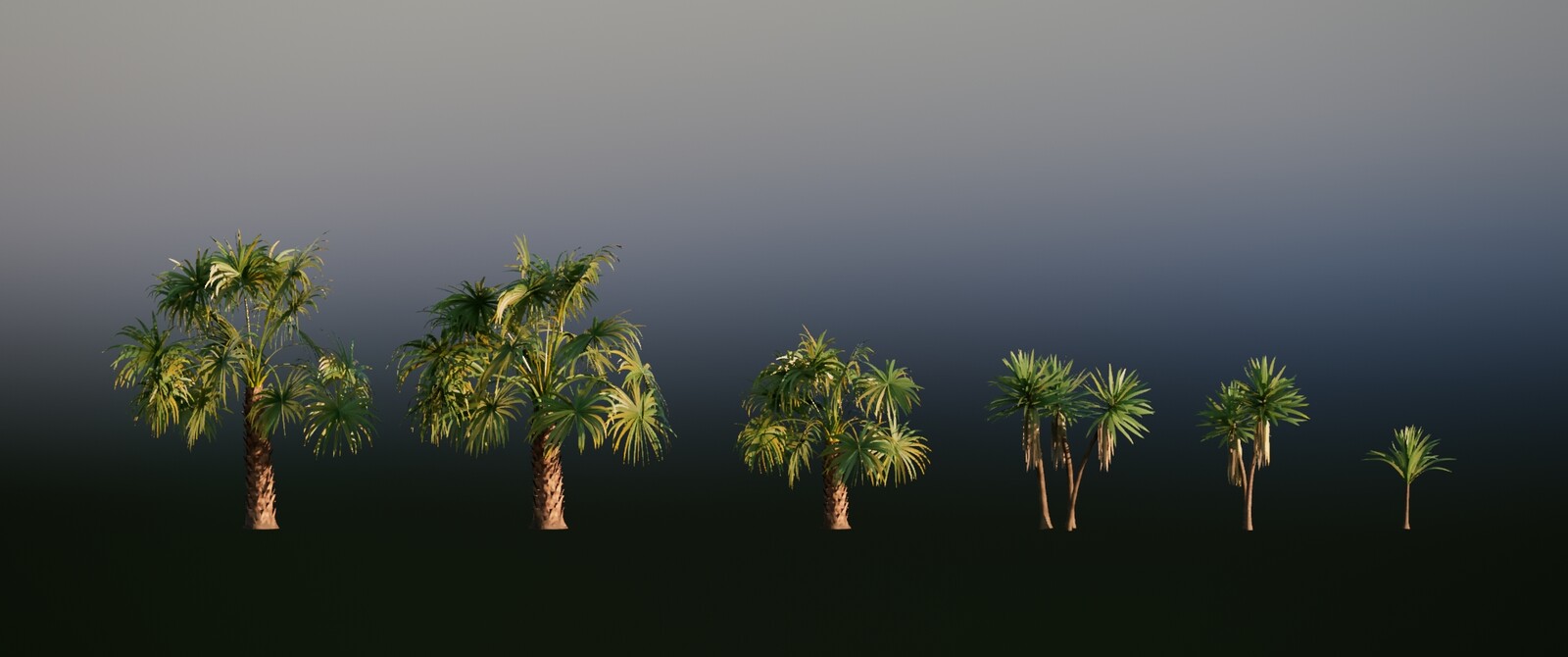 Palms i've made in SpeedTree