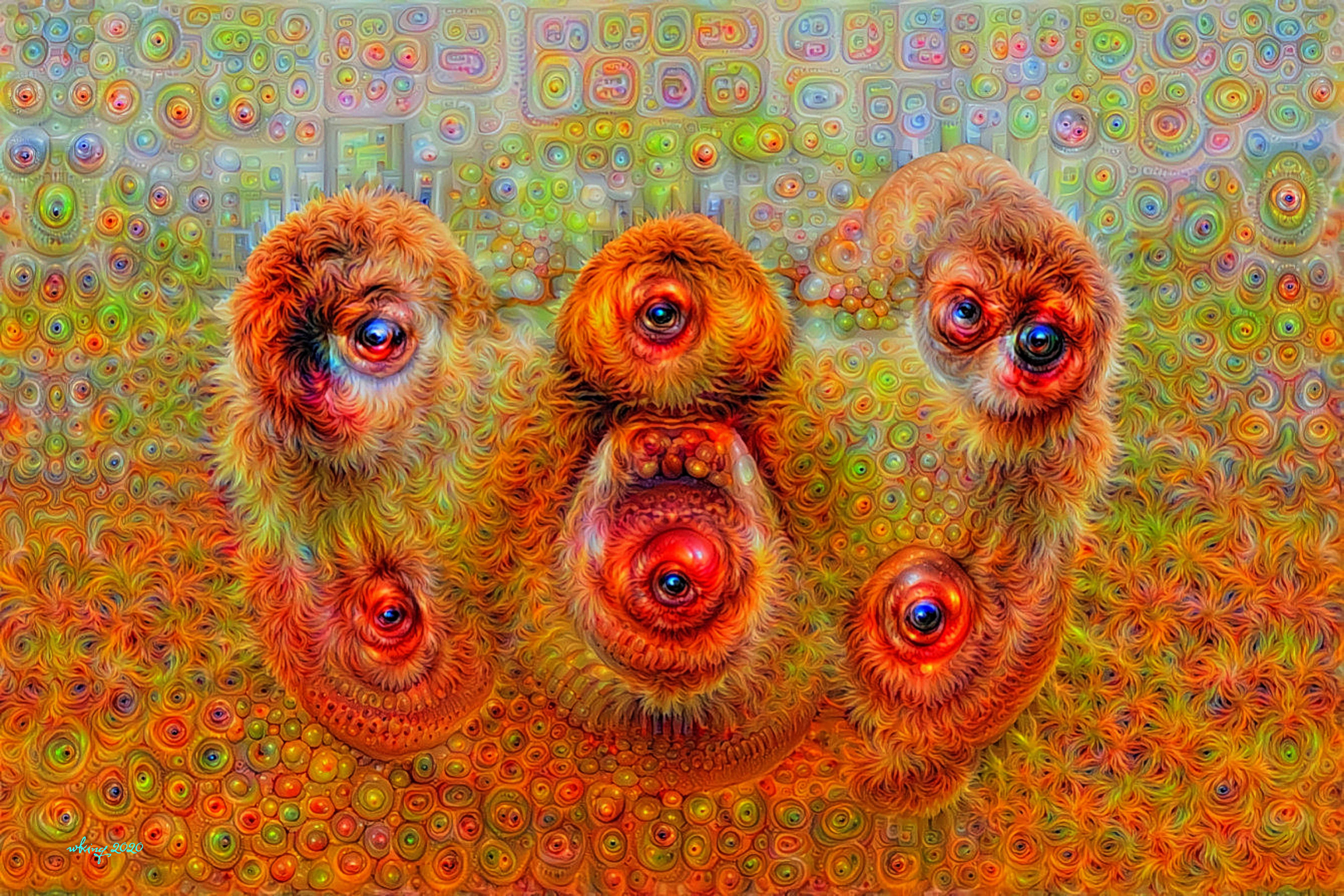 11