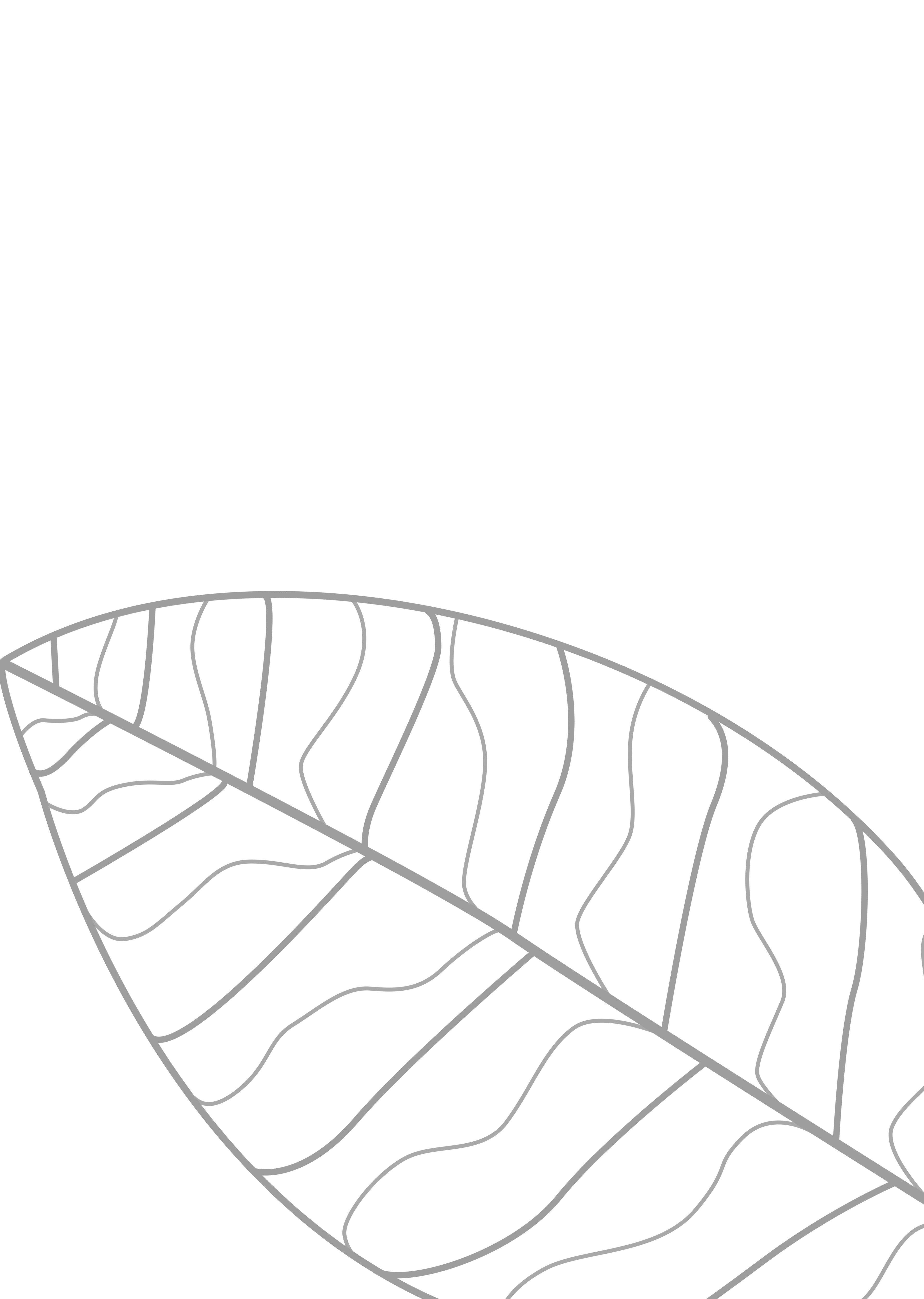 Final Design chosen by clients