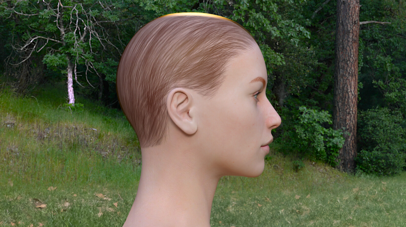 R Profile