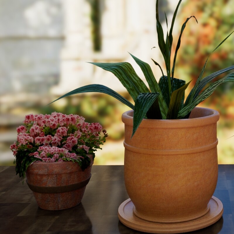 Italian Villa House plants
