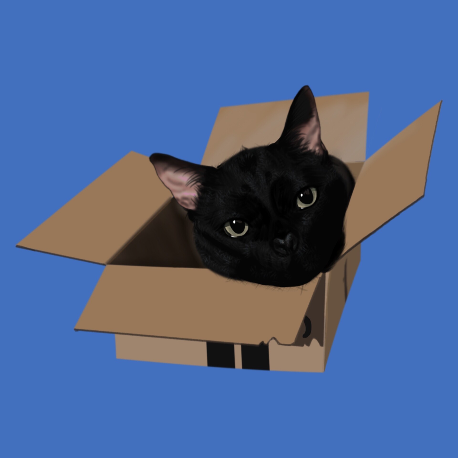 ArtStation Cat in a box, digital drawing