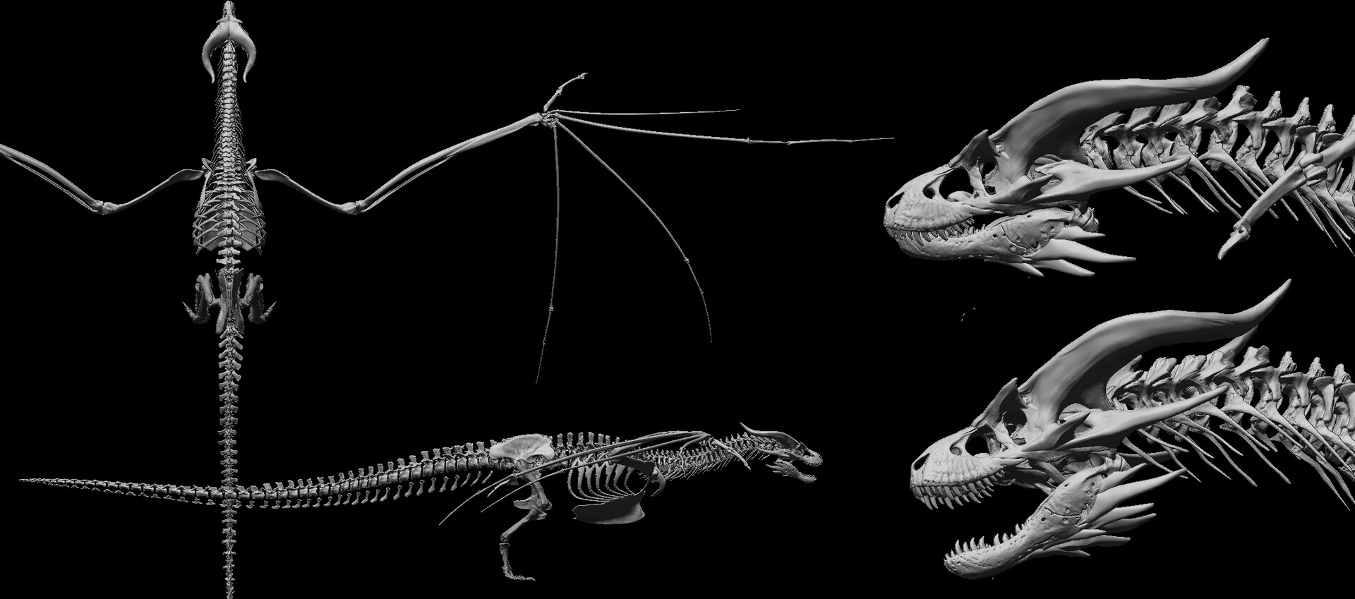 ArtStation - 飞龙骨骼未完成dragon skeleton wip ArtStation - 飞龙骨骼未完成dragon skeleton wip