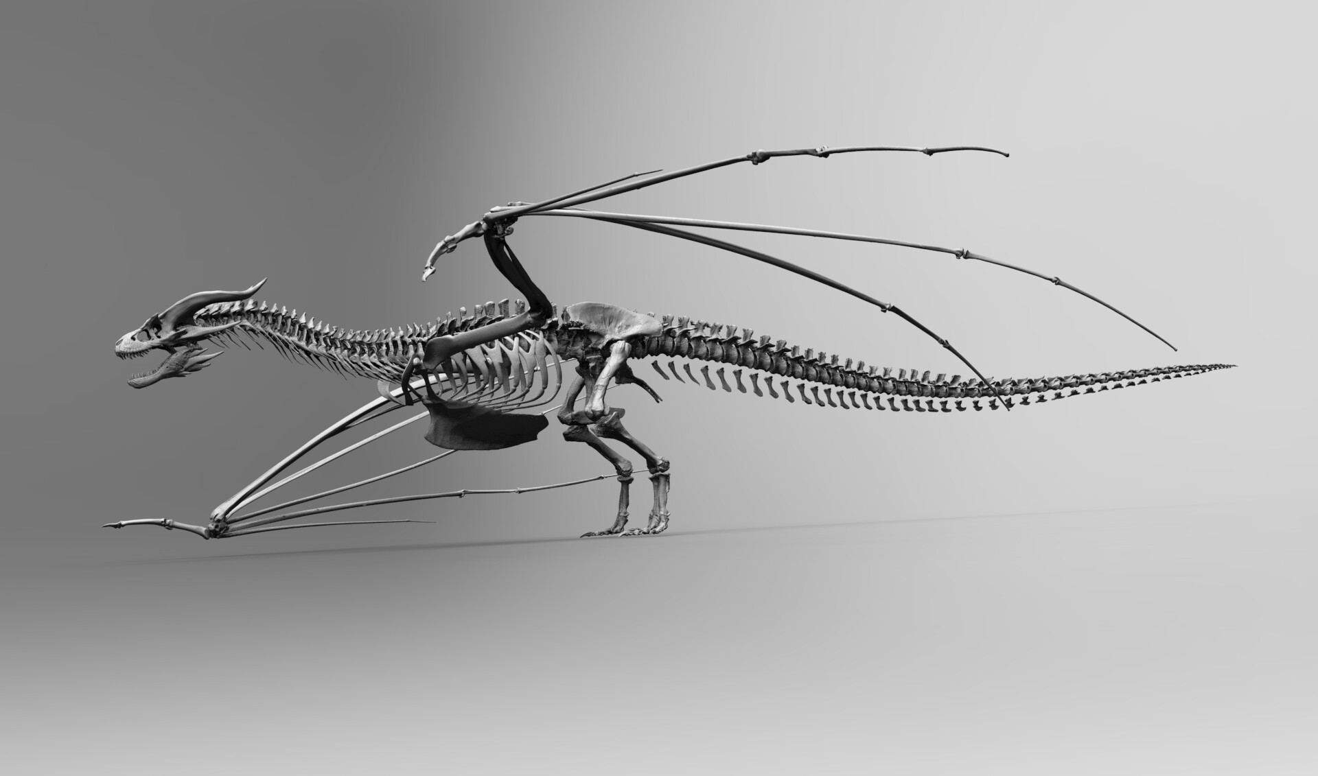 ArtStation - 飞龙骨骼未完成dragon skeleton wip ArtStation - 飞龙骨骼未完成dragon skeleton wip