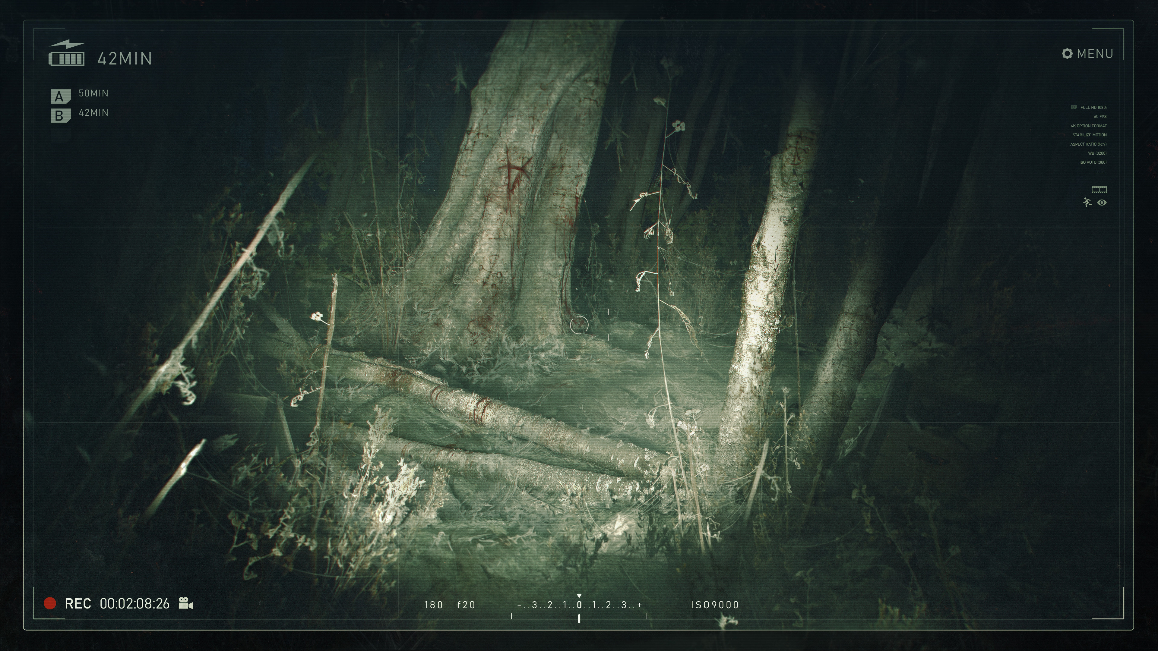 Blair witch project 123 online