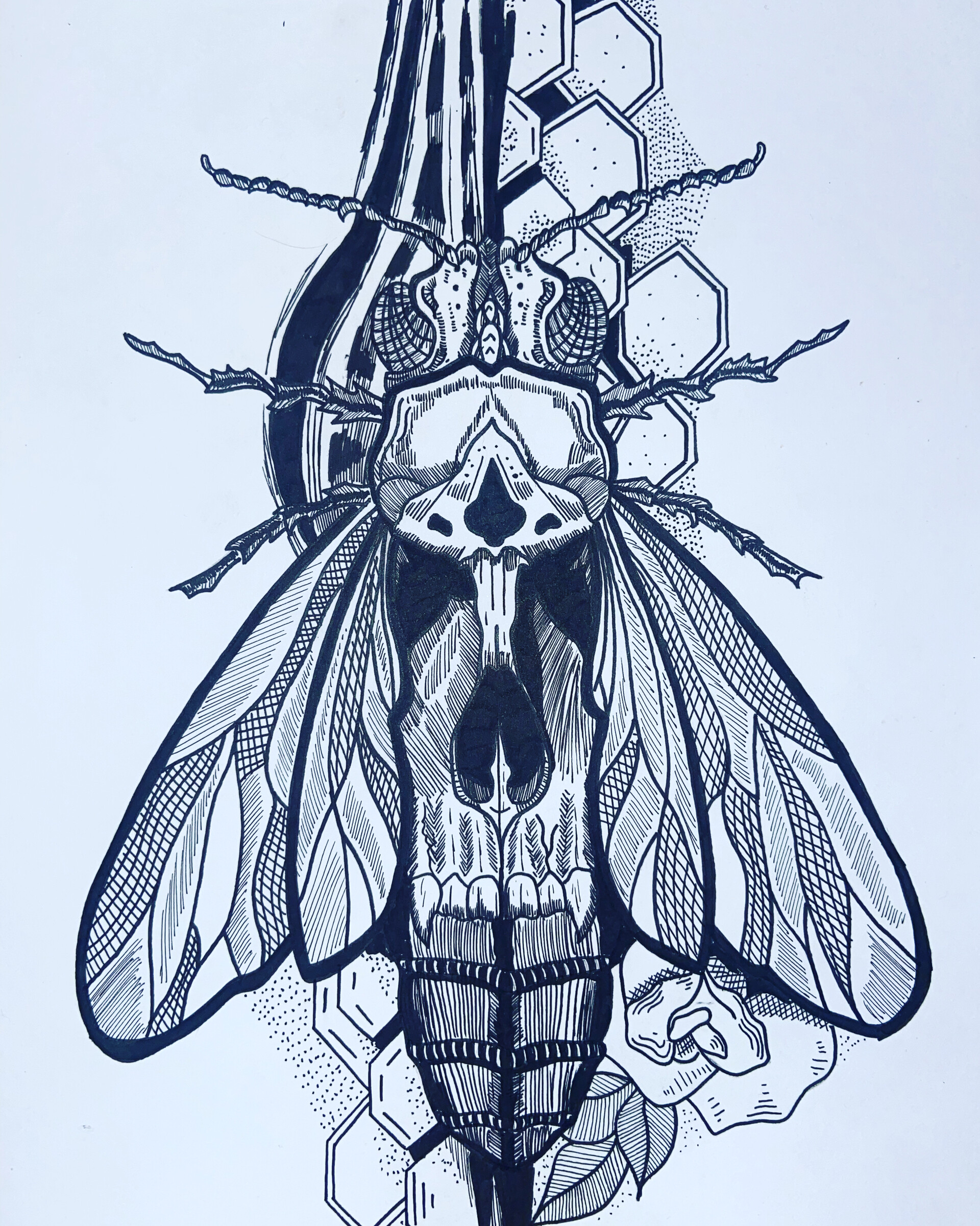 Beetle and Skull by Erika at Reef Tattoo in Frankfort, IL : r/TattooDesigns, image size:1920x2400