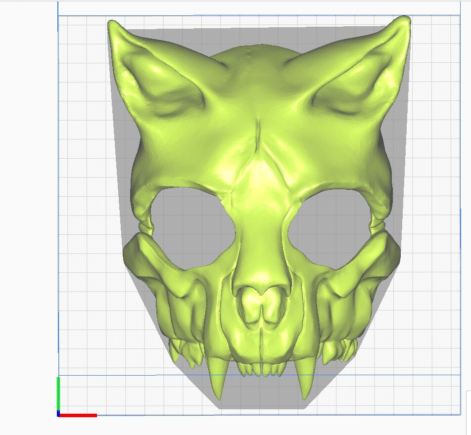Маска файлы примеры. Череп кошки 3d модель. скулл кэт маска. 3 d модель skull cat.