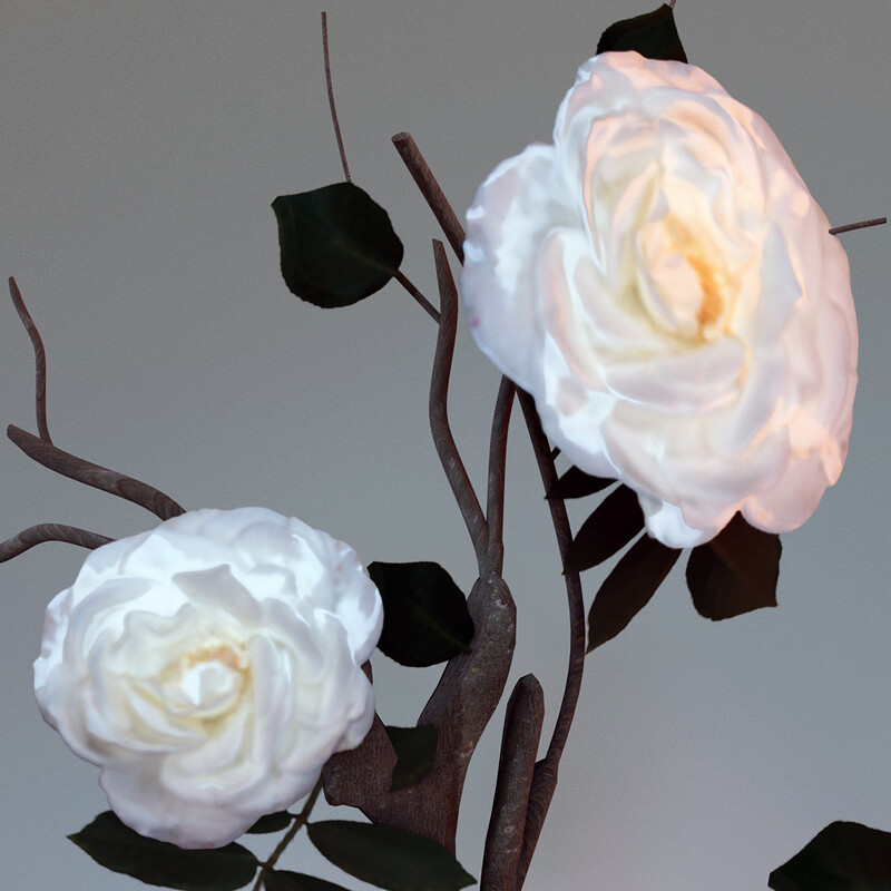 Rose Tree