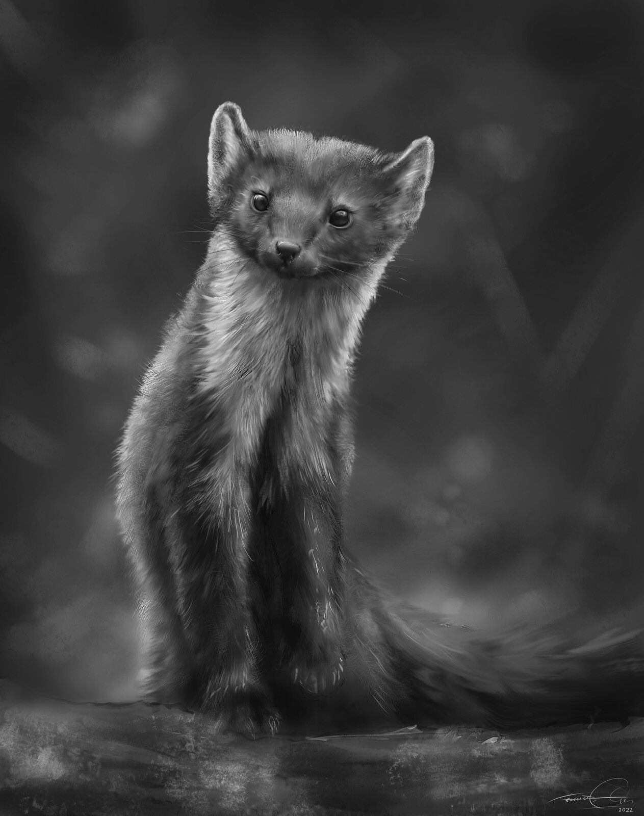 Wild Mink - Digital Painting/Drawing