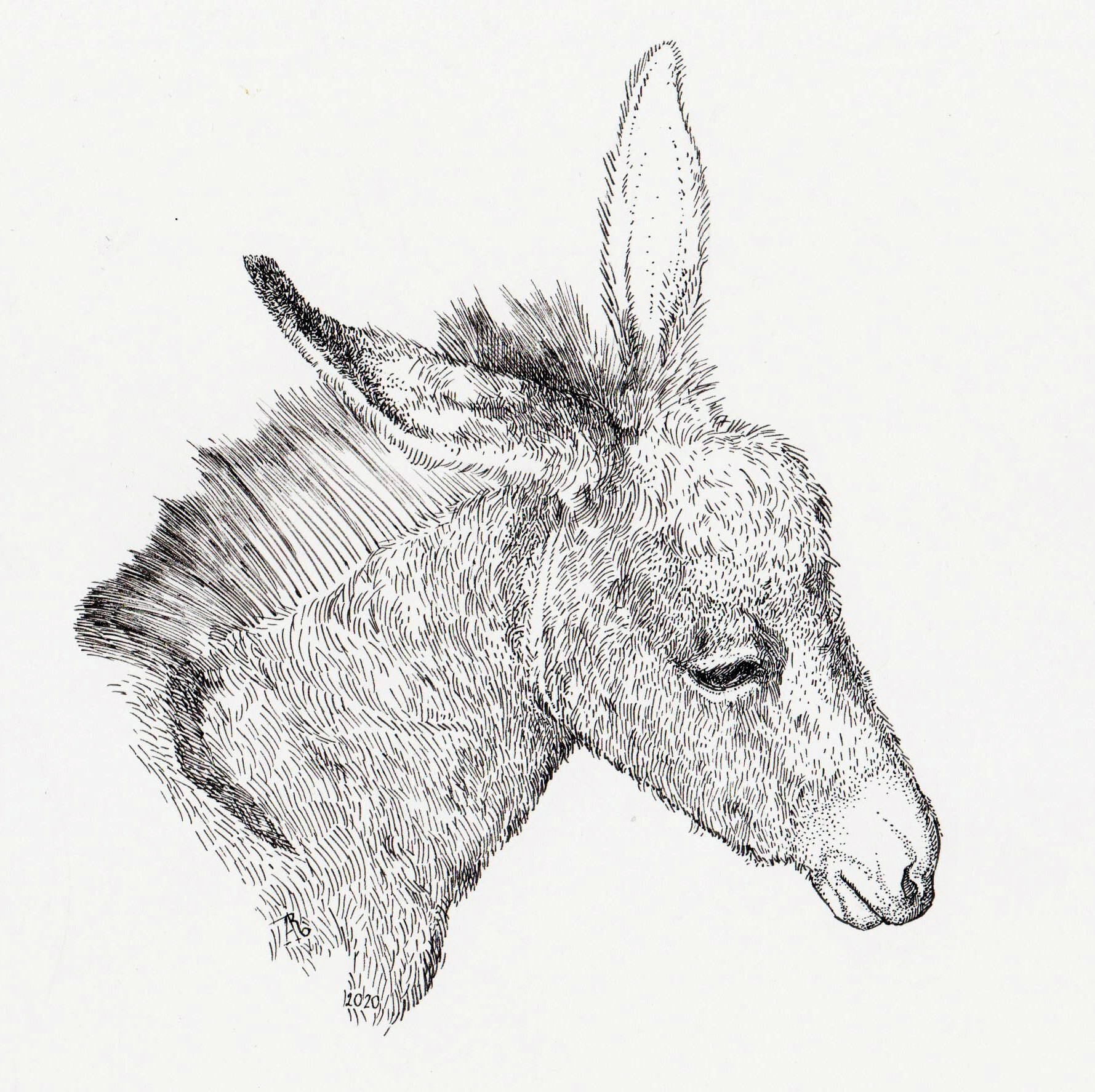 ArtStation Donkey Head