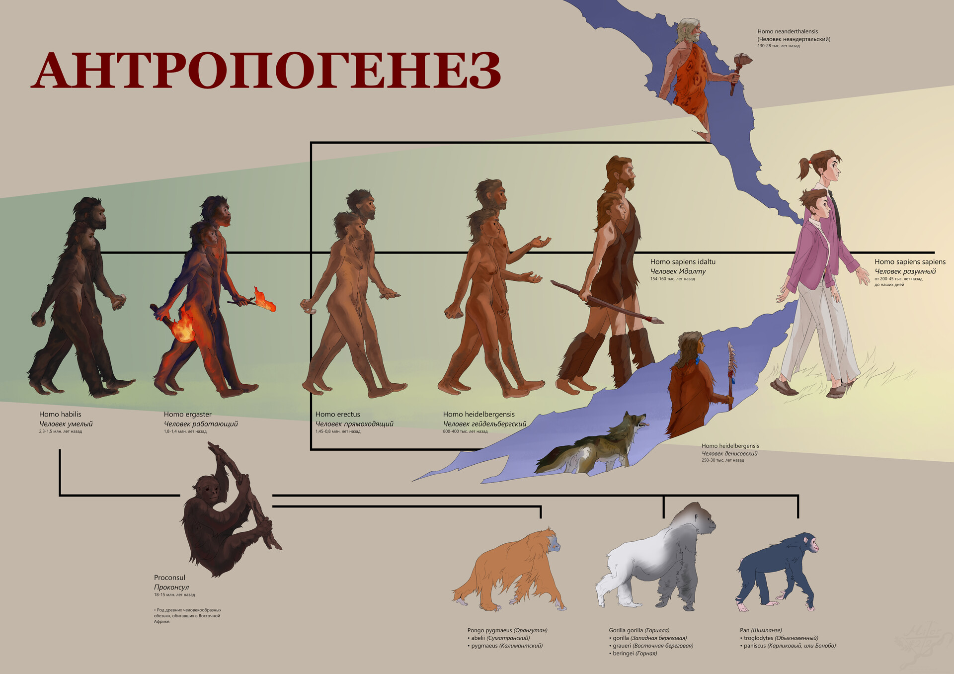 Эволюция в этнографии это. Homo sapiens — это скачок в антропогенезе. Антропогенез олень с телефоном.