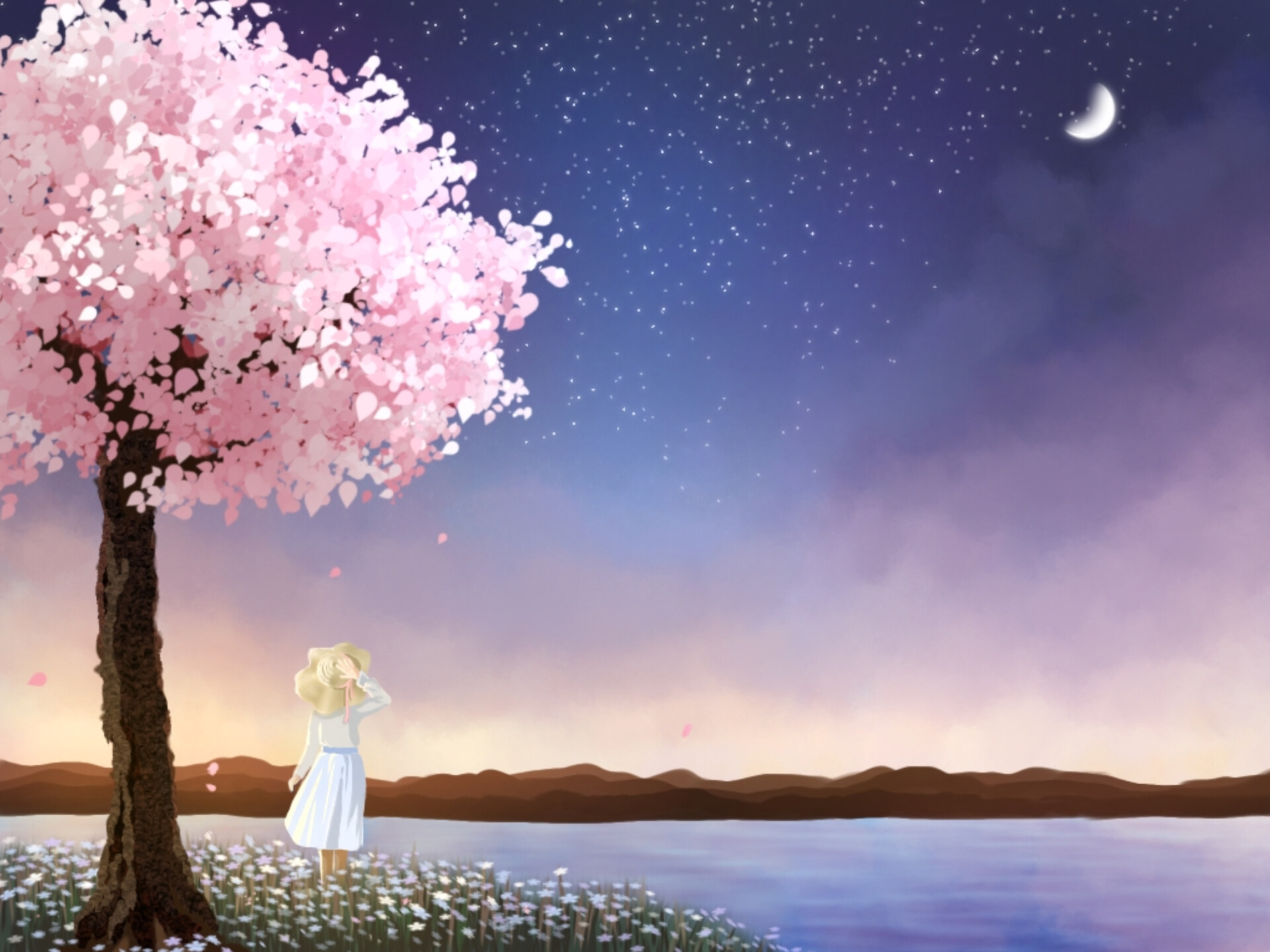 Night cherry blossom 1080P 2K 4K 5K HD wallpapers free download   Wallpaper Flare