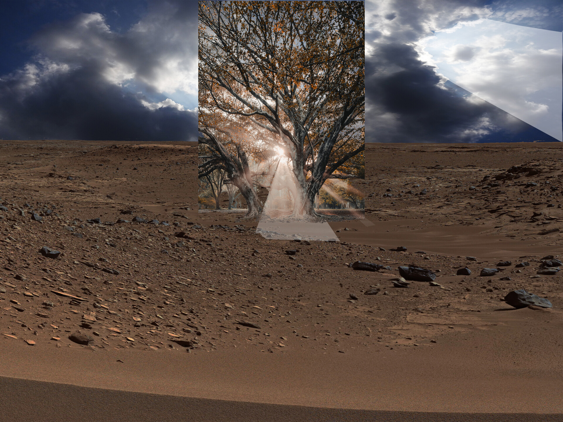 artstation-tree-spill