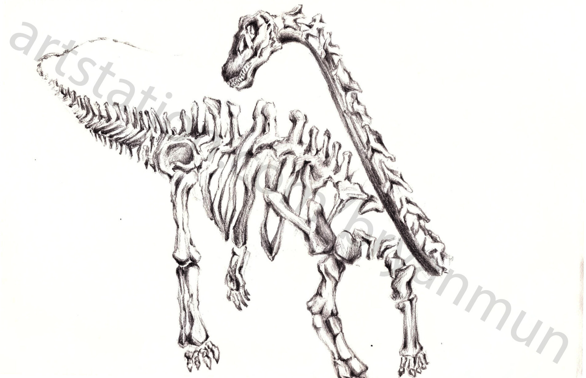 Allosaurus vs Diplodocus :: Behance