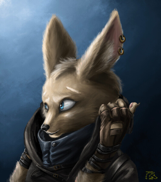 Fennec Rogue