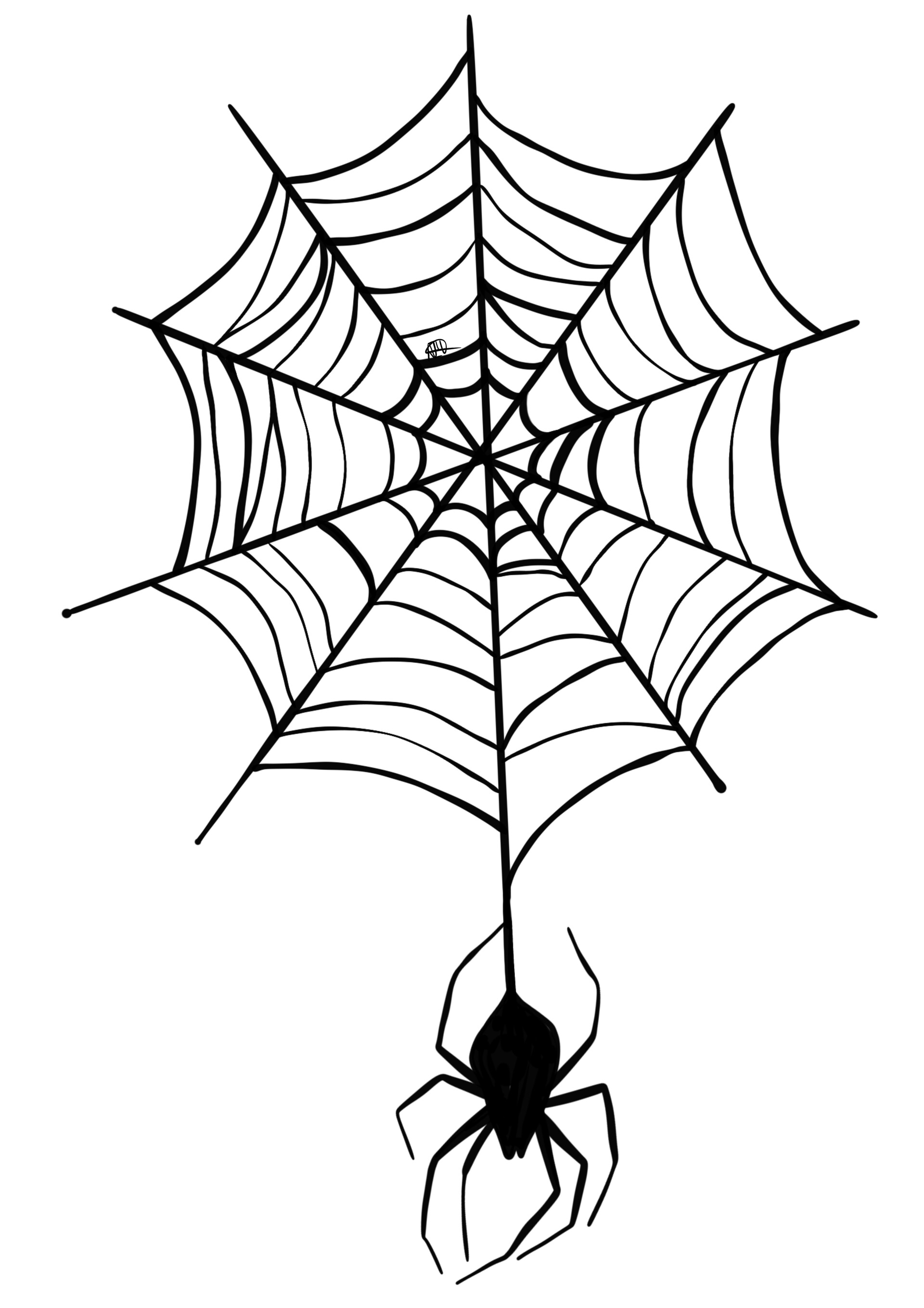Spider web Tattoo Drawing Design spider transparent background PNG clipart   HiClipart