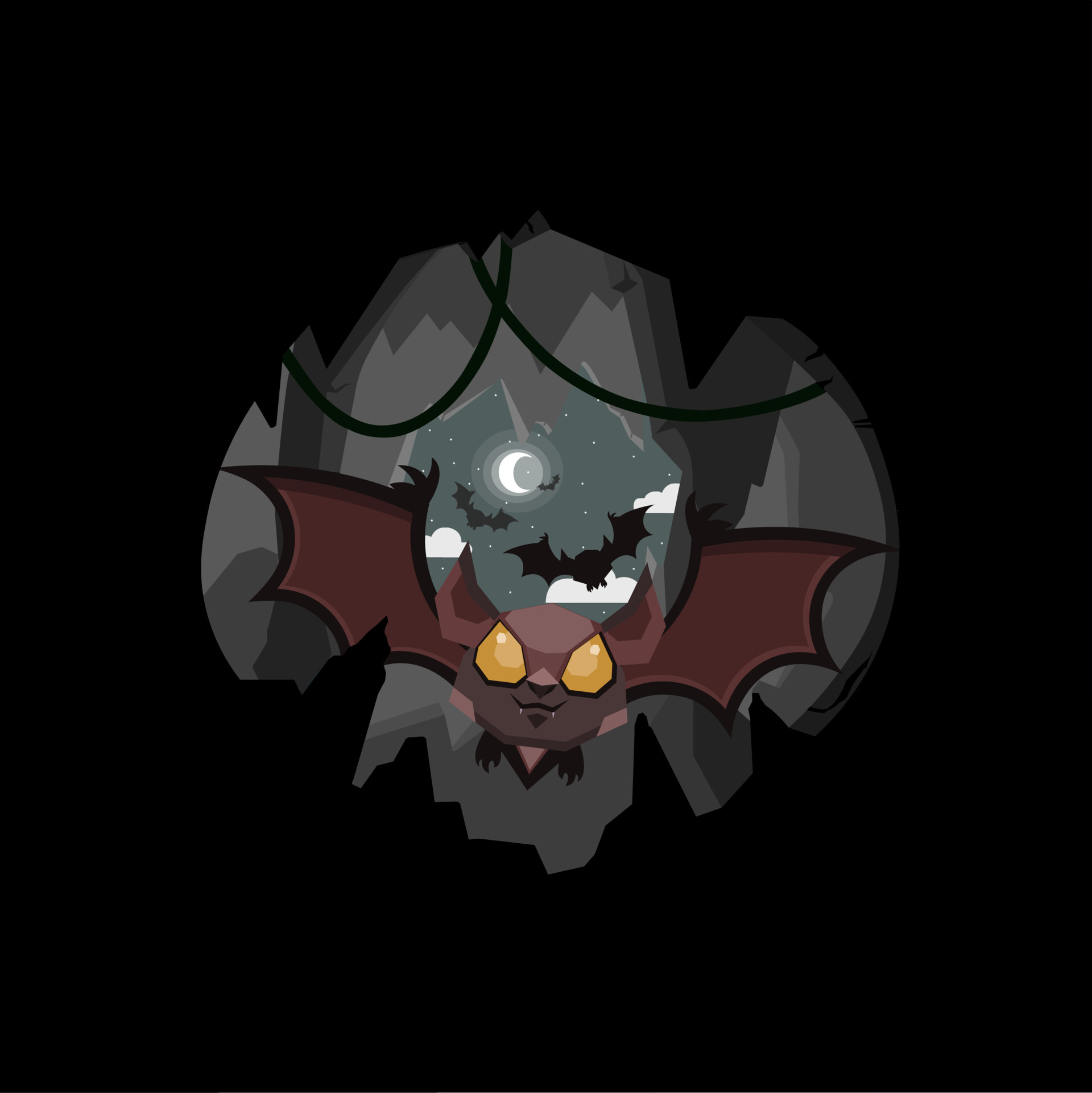 Bat in the Cave Biology Diagrams
