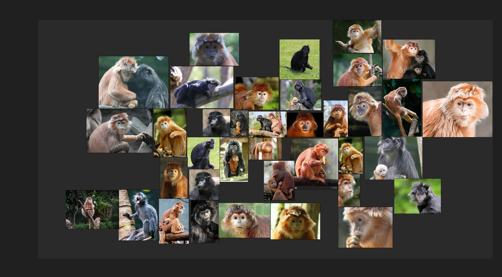 references to non digidouble creature making of