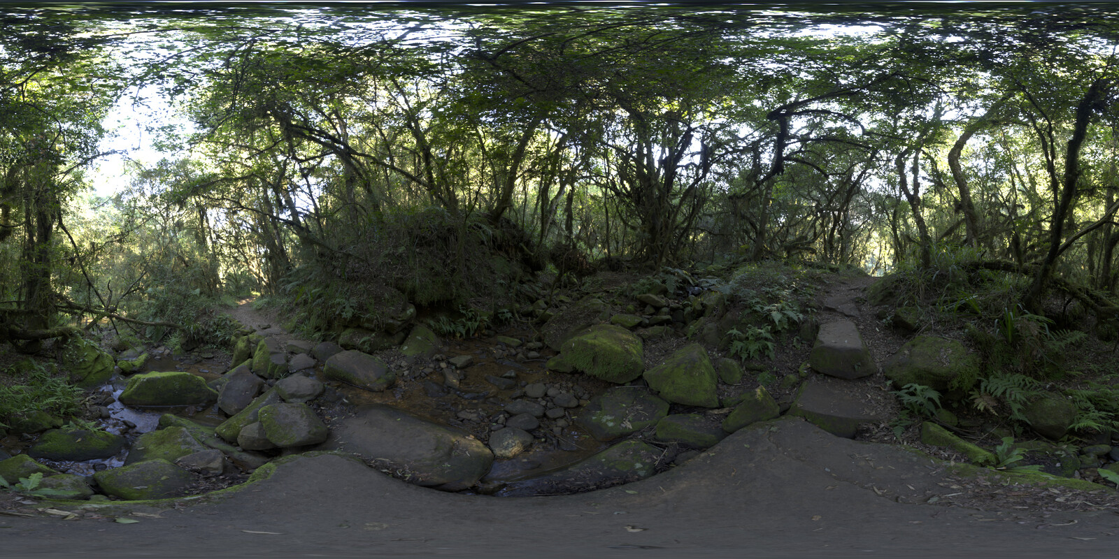 HDRI from :
https://polyhaven.com/a/mossy_forest