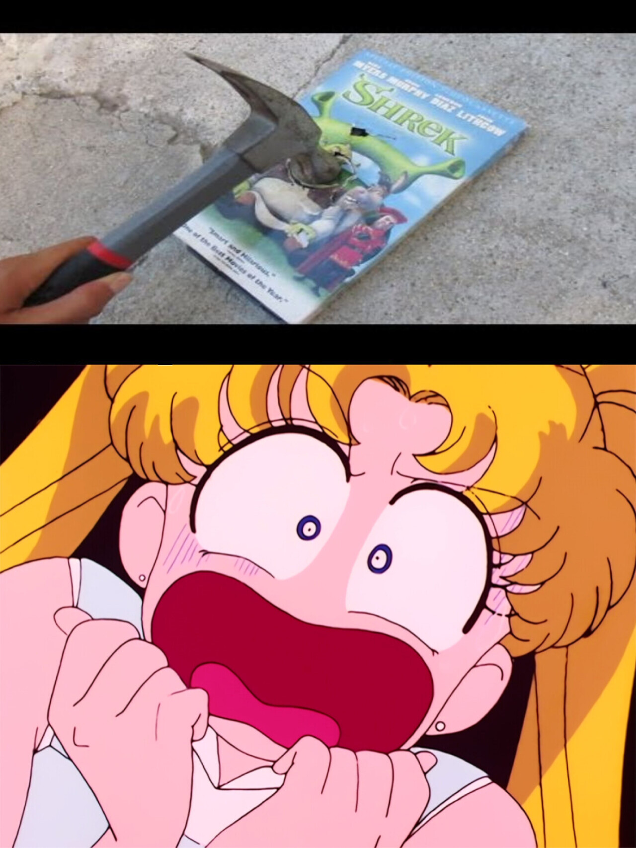ArtStation Usagi Scares of Destruction of Shrek VHS