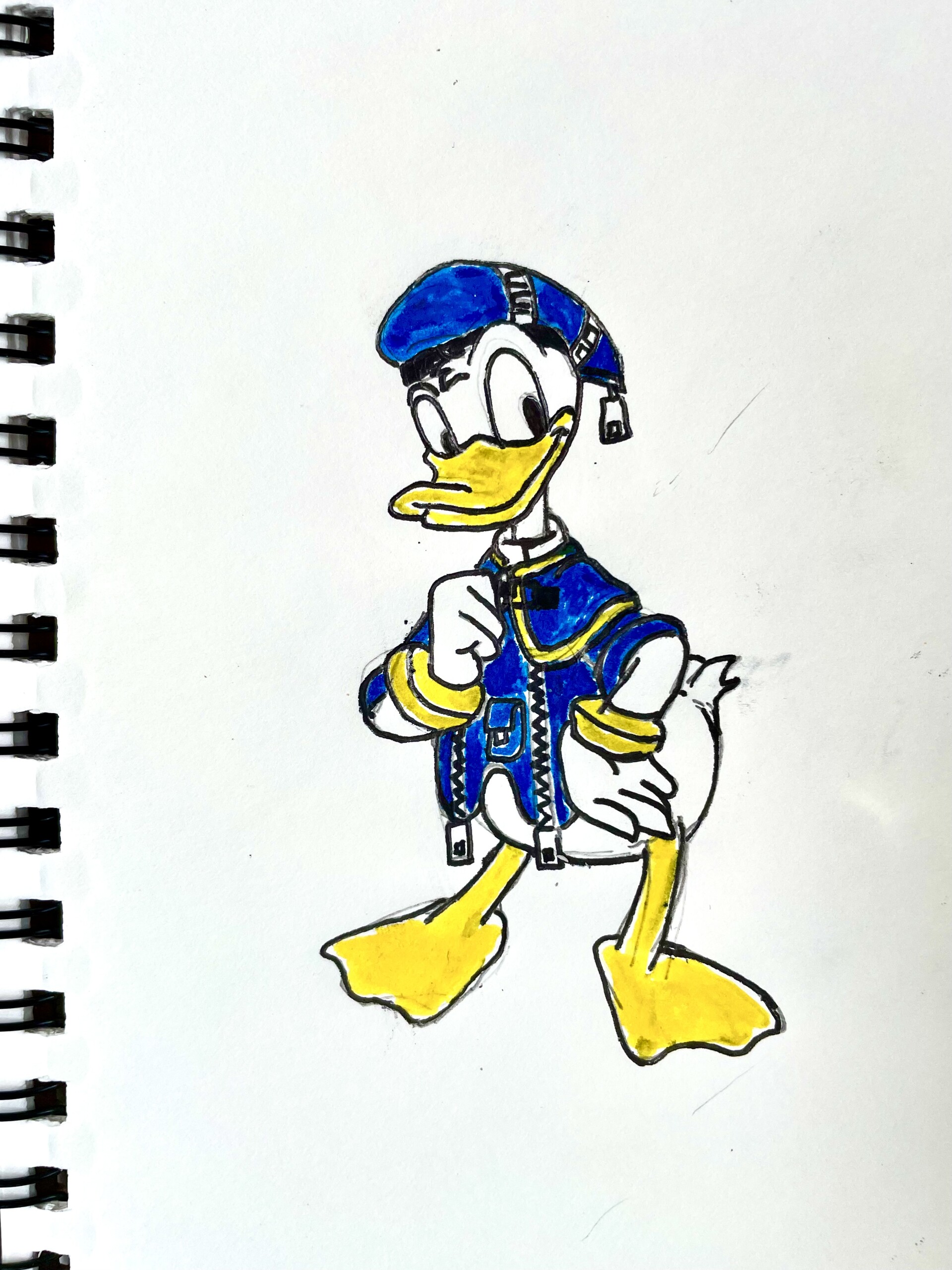 EXTREMELY Rare Animation Drawing of Donald Duck from The Wise Little Hen,  1934, in C E's Disney Studio Pt. 5 - Animation Drawings for Mickey and  Donald Shorts Comic Art Gallery Room