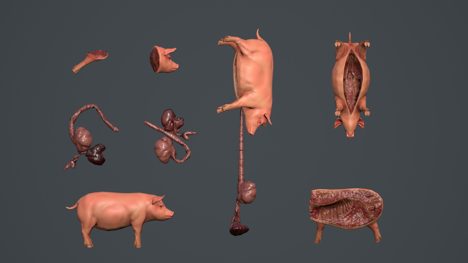 Bonus Piggies