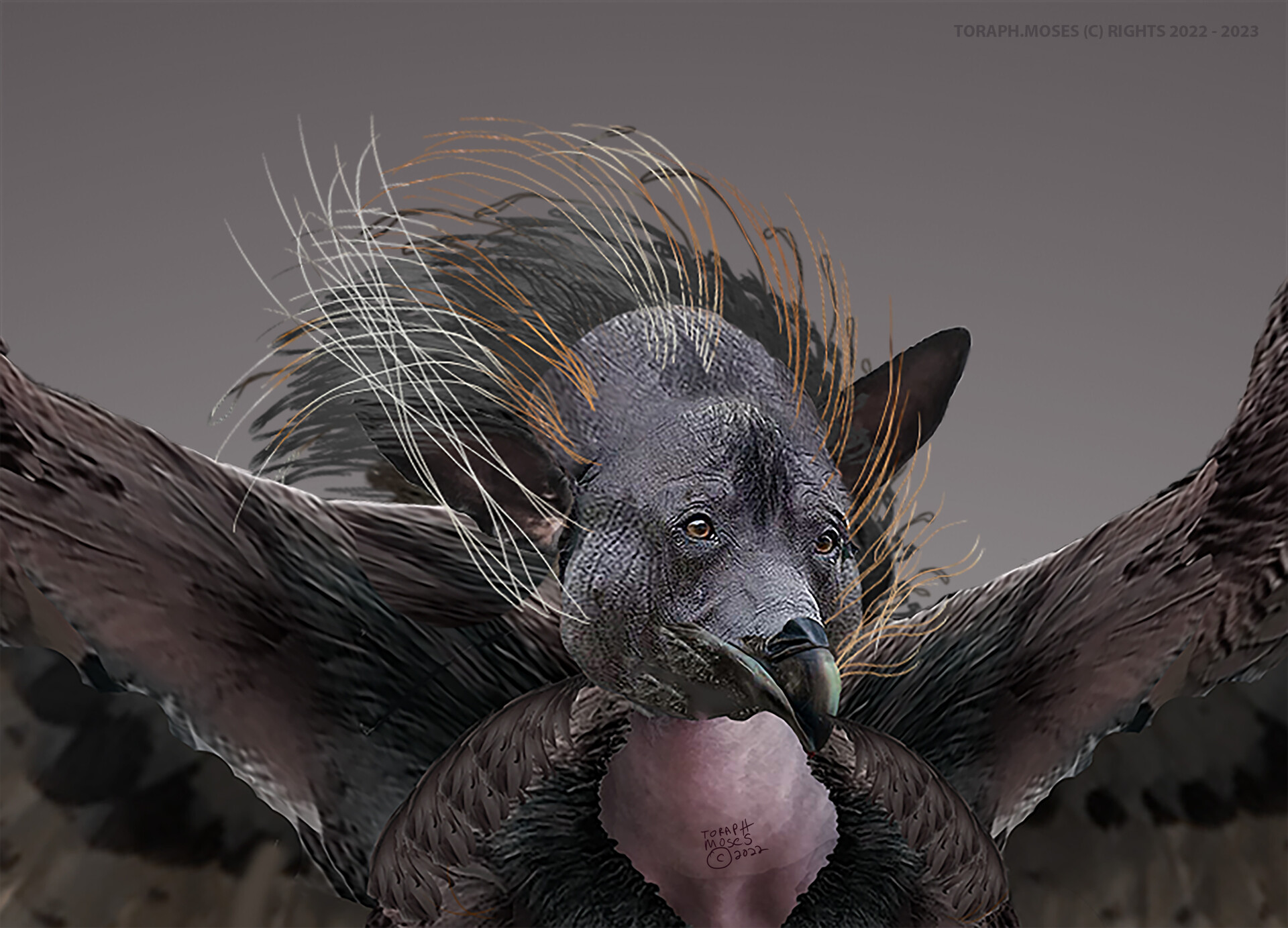 ArtStation - The Last Unicorn Characters: The Harpy Celaeno