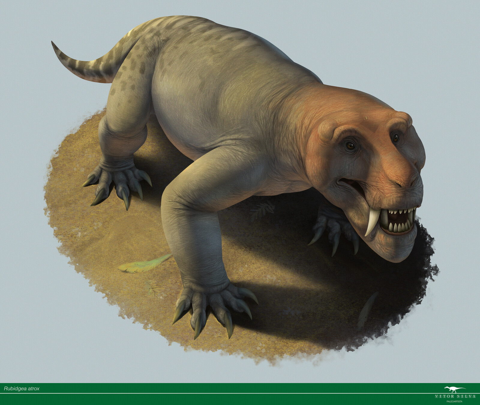 The enormous Rubidgea atrox