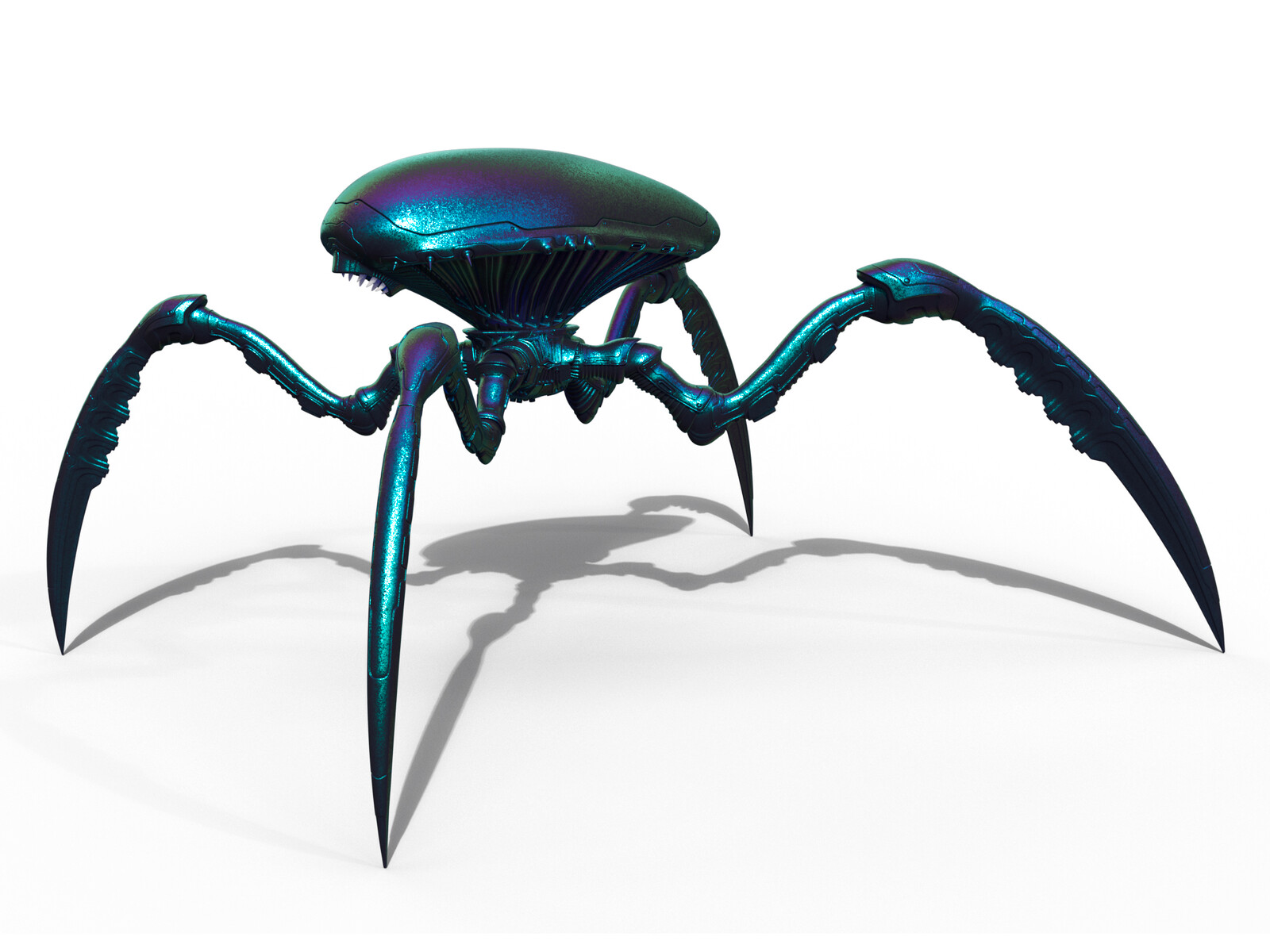 Front View