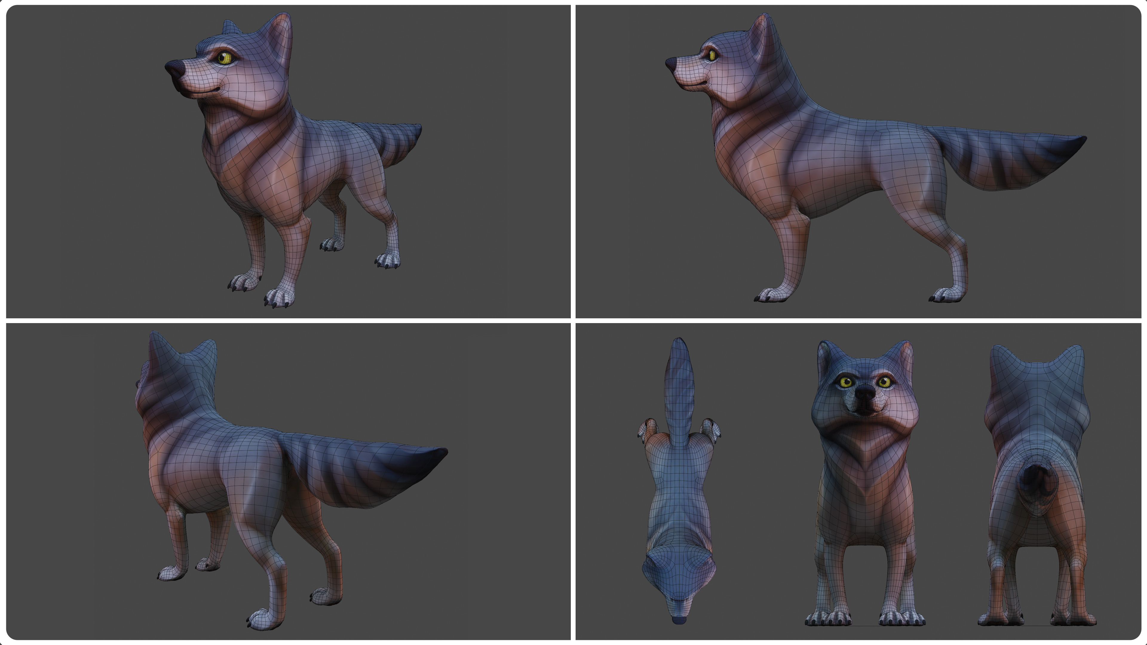 Topology of the wolf