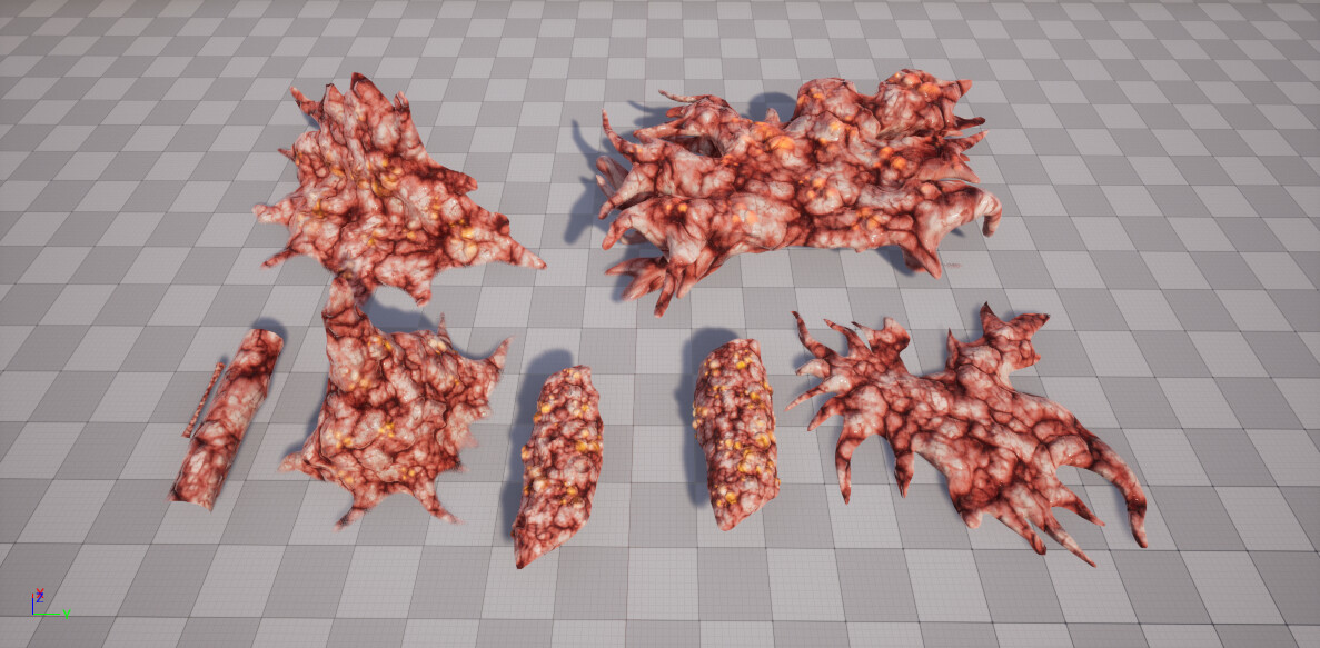 Flesh Assets