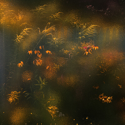 Autumn Garden. Evening Pacification