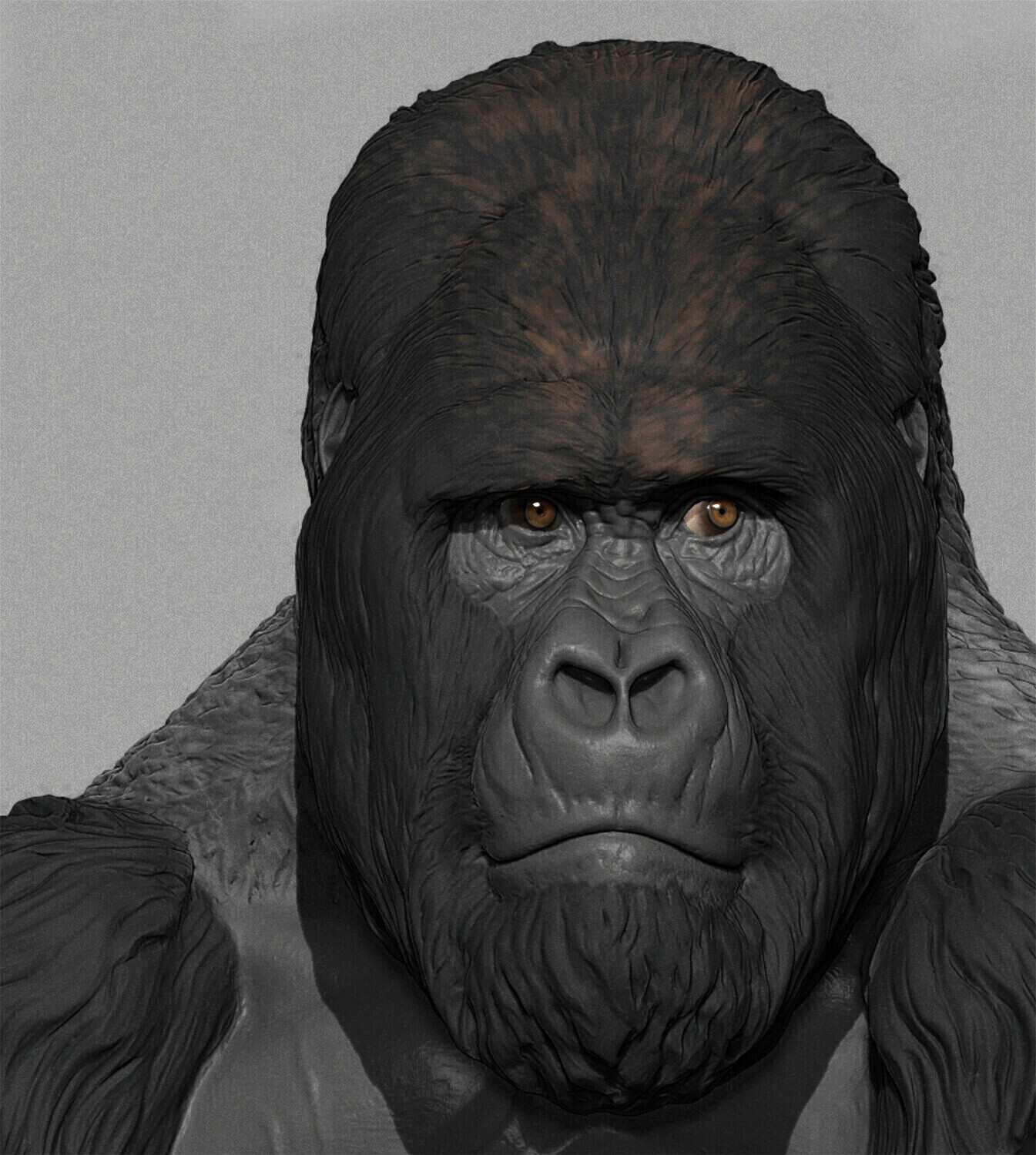 Kurira wip