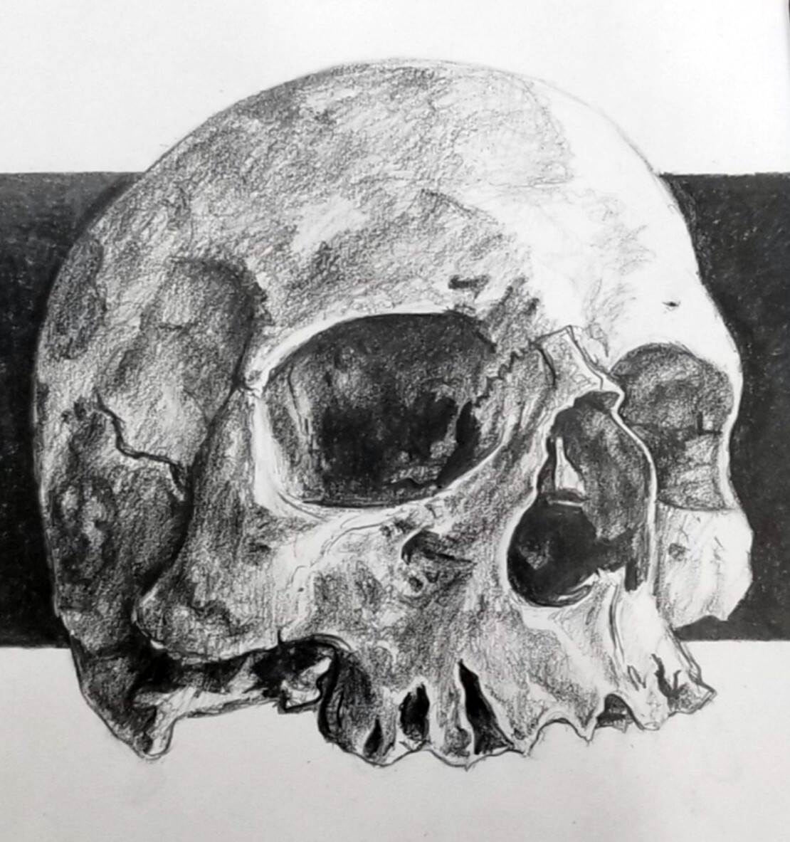 Skull Sketch PNG Transparent Images Free Download | Vector Files | Pngtree