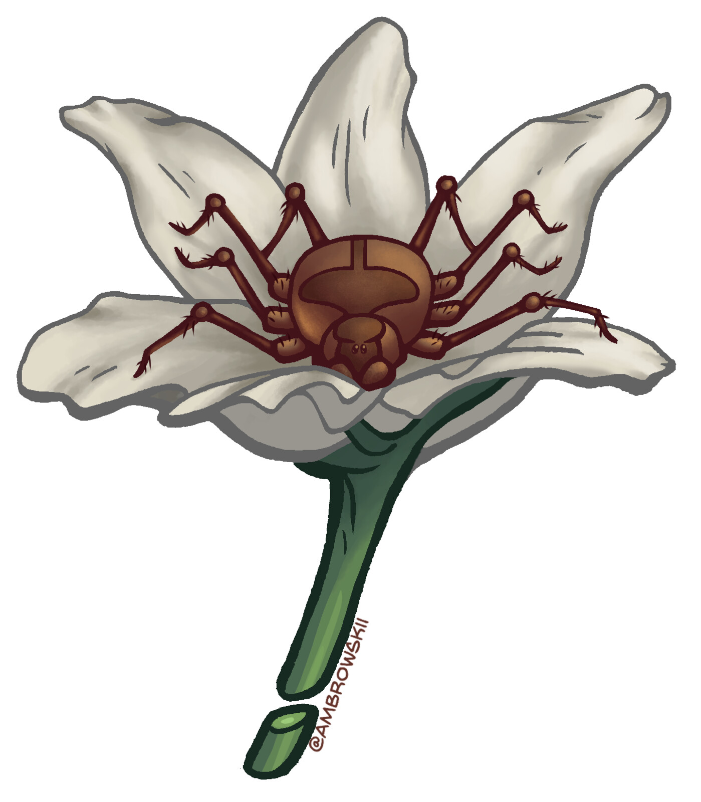 Harmony’s magical familiar is a spider, and her dreams often take her to a field of innocent Lily flowers.