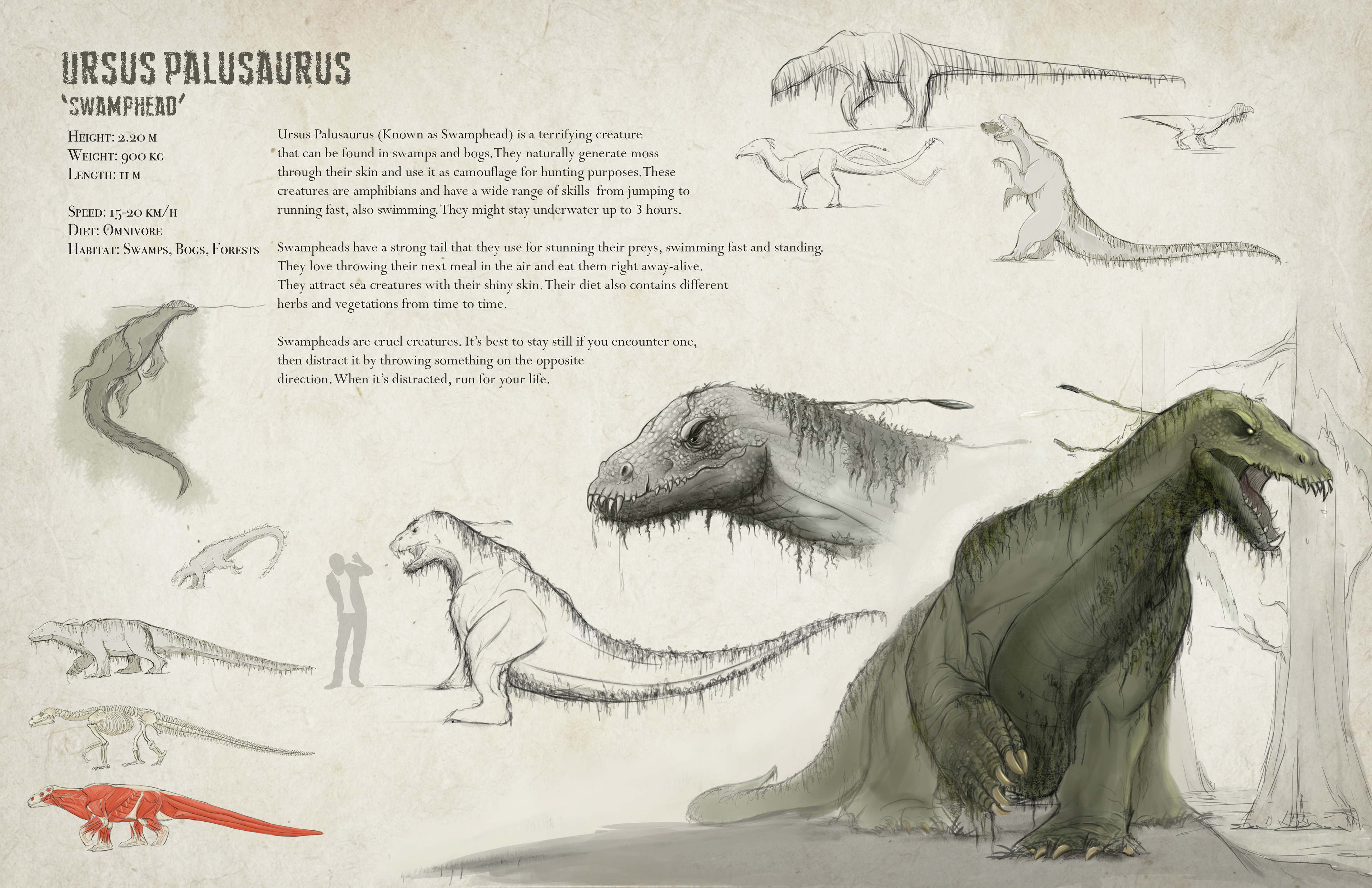 Final Concept
